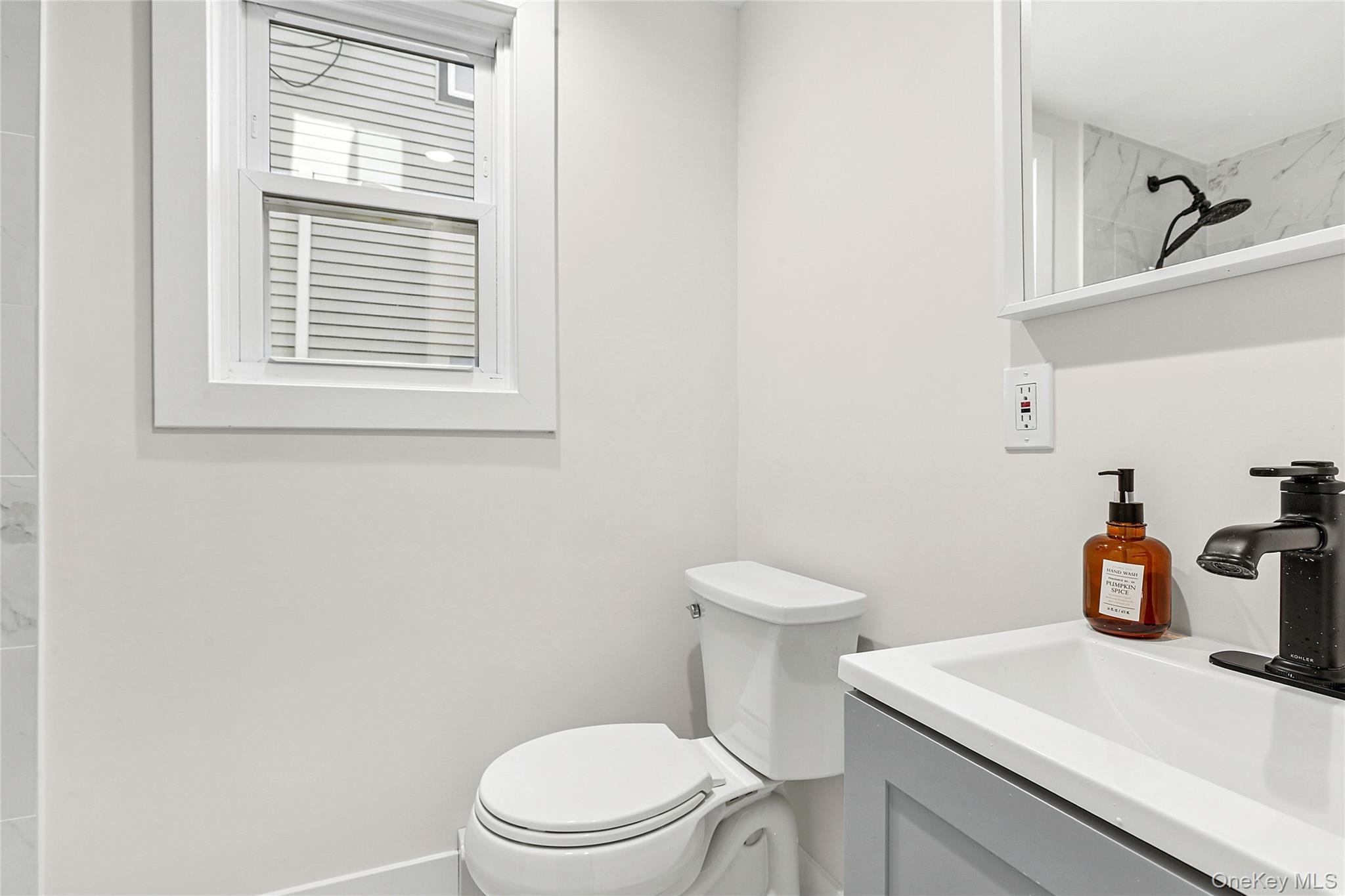 21 A Neulist Avenue Port Washington, NY 11050 - Photo 16 of 17 a white toilet sitting next to a bathroom sink