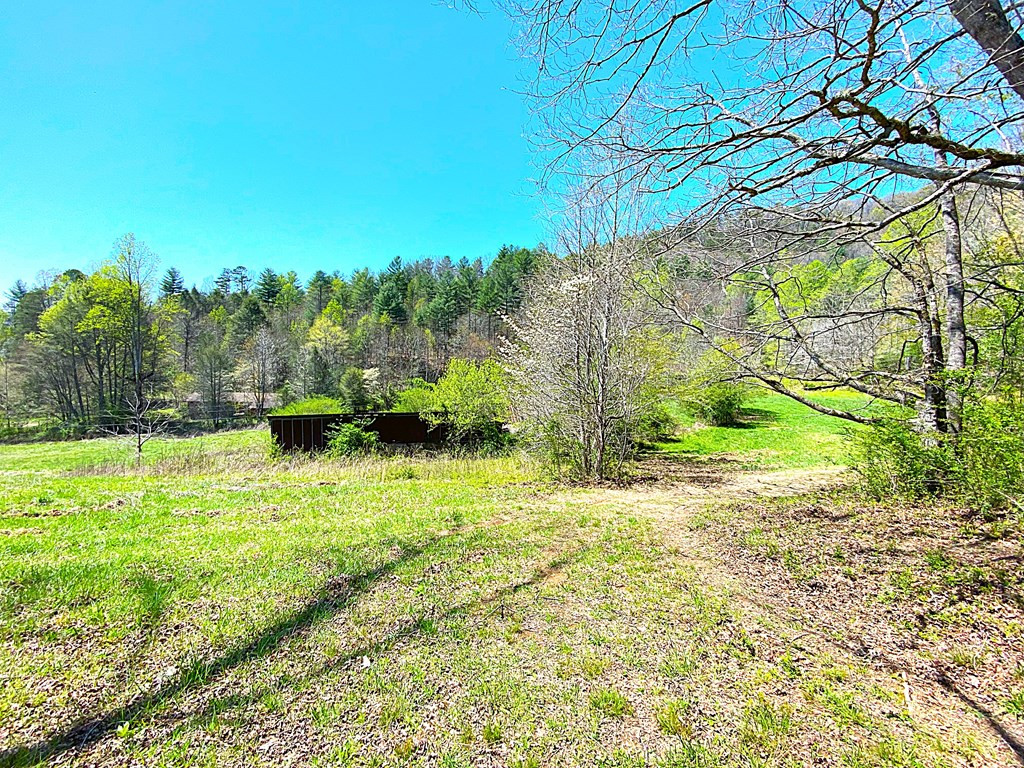 208 Odell Loop Murphy, NC 28906 - Photo 20 of 45