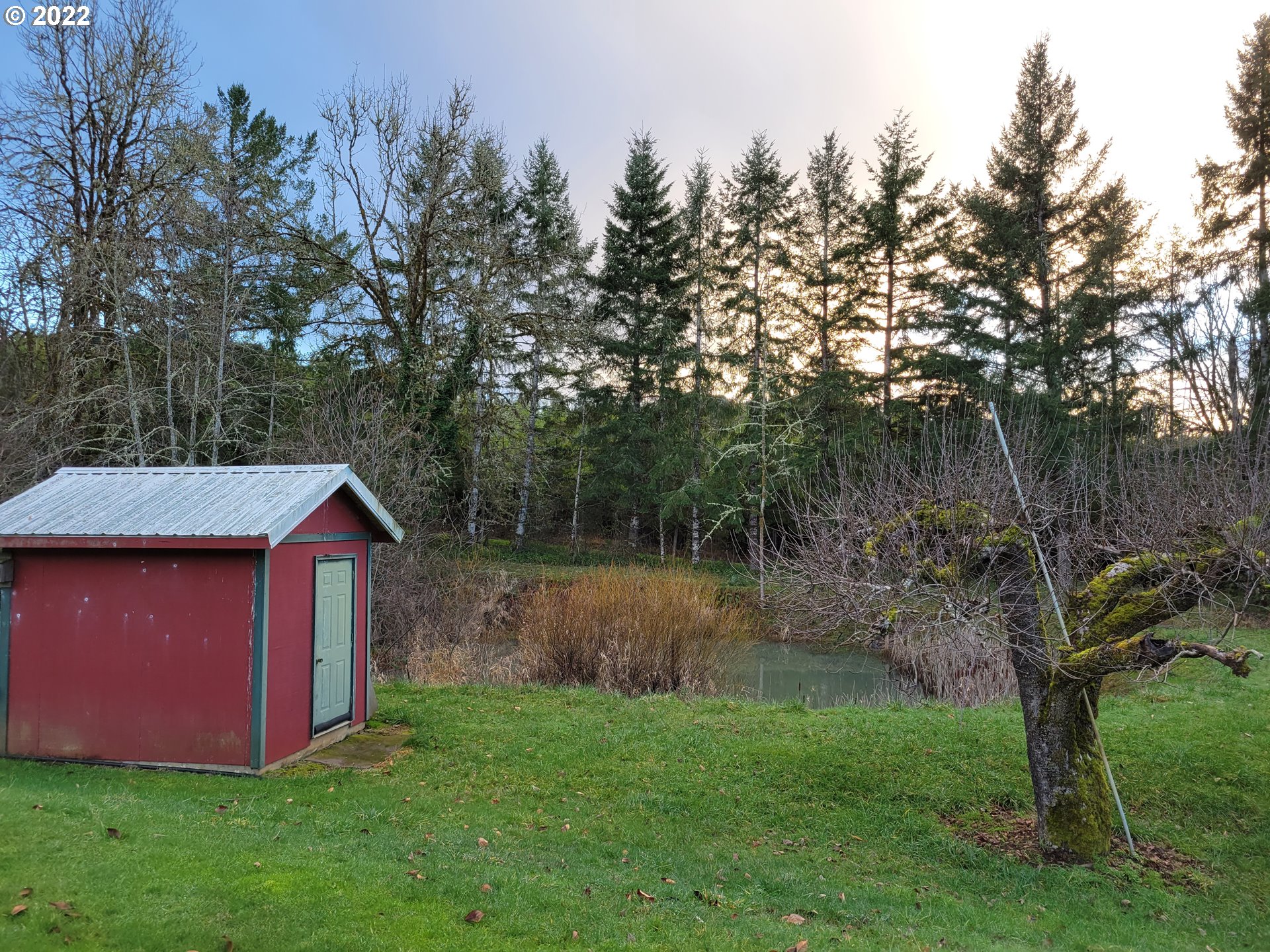 5064 Henderer Road Elkton, OR 97436 - Photo 17 of 32 a view of backyard with green space
