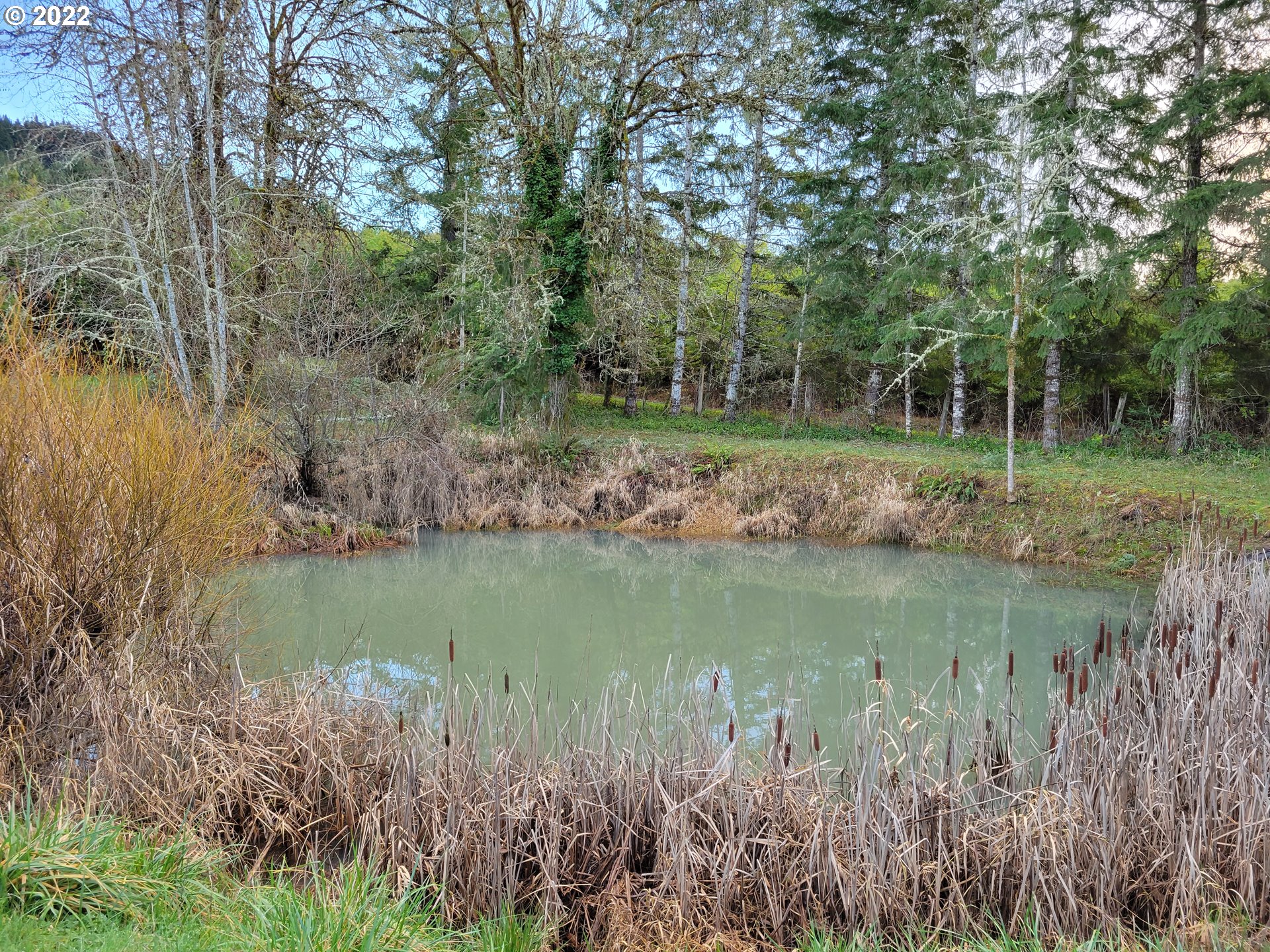5064 Henderer Road Elkton, OR 97436 - Photo 18 of 32 a view of a lake view