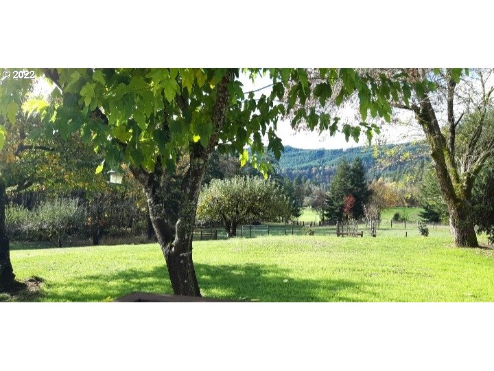 5064 Henderer Road Elkton, OR 97436 - Photo 28 of 32 a view of a park with large trees