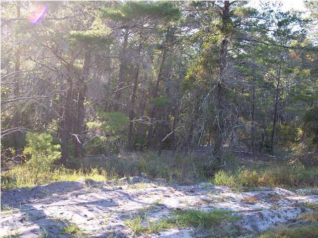 Lot 7 Hillcrest Road Santa Rosa Beach, FL 32459 - Photo 5 of 5 Additional Photo