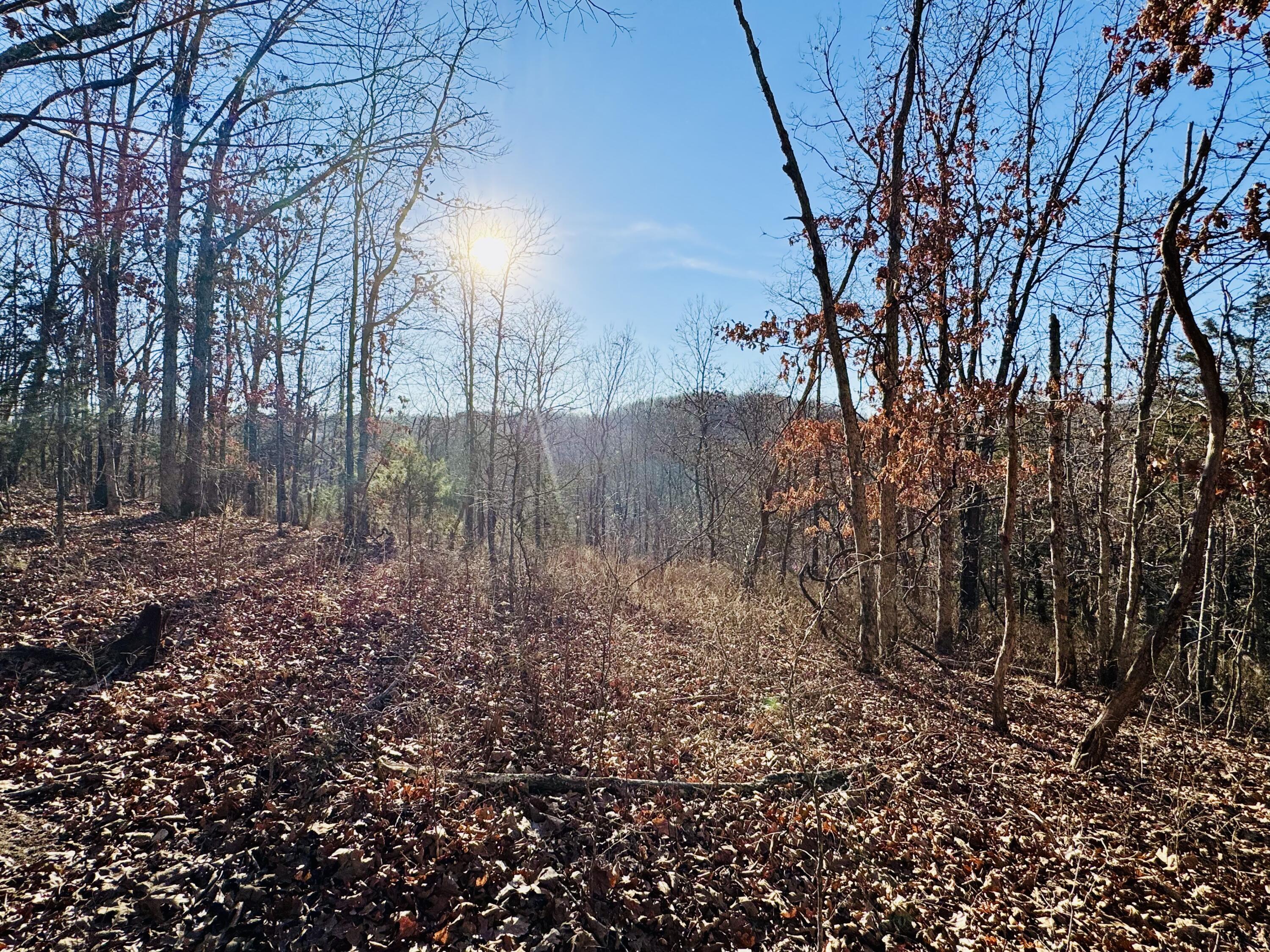 795 Anthony Road Pineville, MO 64856 - Photo 72 of 95 Fall