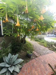 $1,499,990 | 551 Hilmar Street, Santa Clara, CA 95050