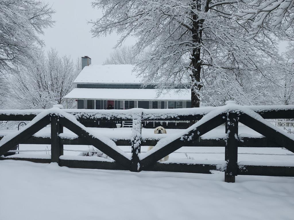72 Fox Glen Road Fancy Gap, VA 24328 - Photo 65 of 66 Gallery Image 65