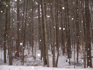 9 River Road Jay, NY 12941 - Photo 1 of 1 Gallery Image 1