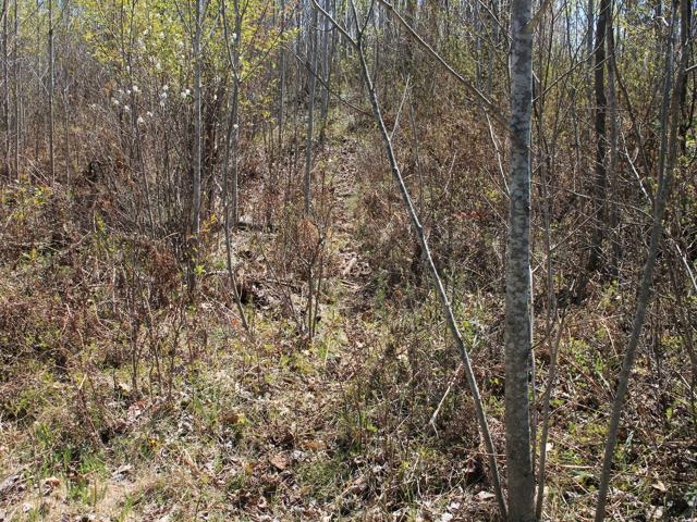 19081 Erickson Drive Dunbar, WI 54119 - Photo 73 of 87