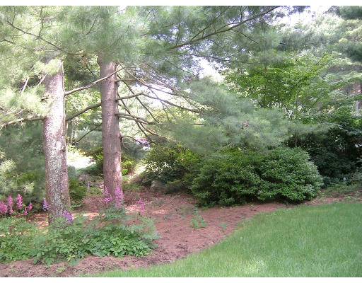 32 Adams Road Sudbury, MA 01776 - Photo 7 of 7