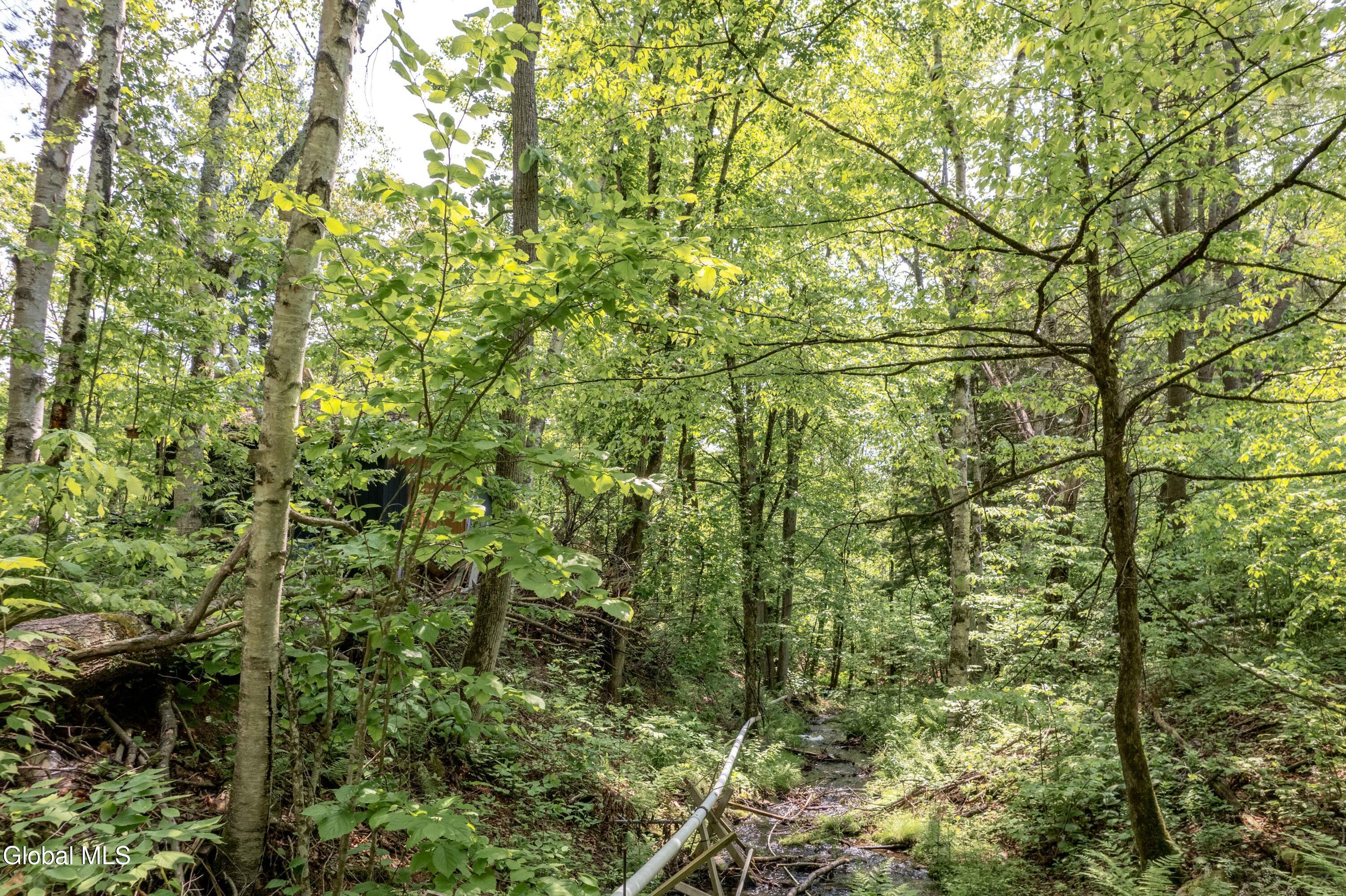 1219 Mill Valley Road Warnerville, NY 12187 - Photo 19 of 34 1219 Mill Valley Rd-35