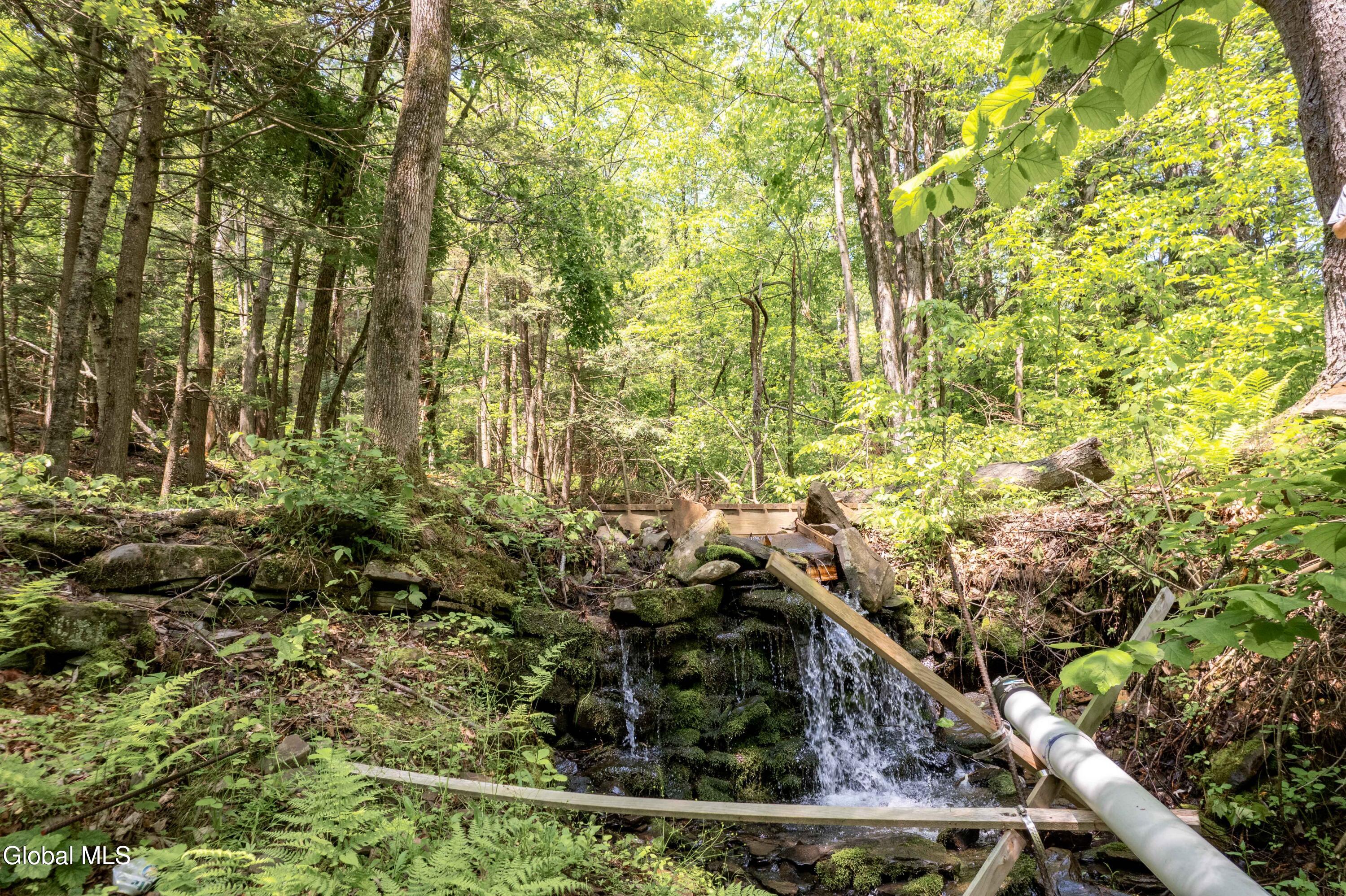 1219 Mill Valley Road Warnerville, NY 12187 - Photo 20 of 34 1219 Mill Valley Rd-38