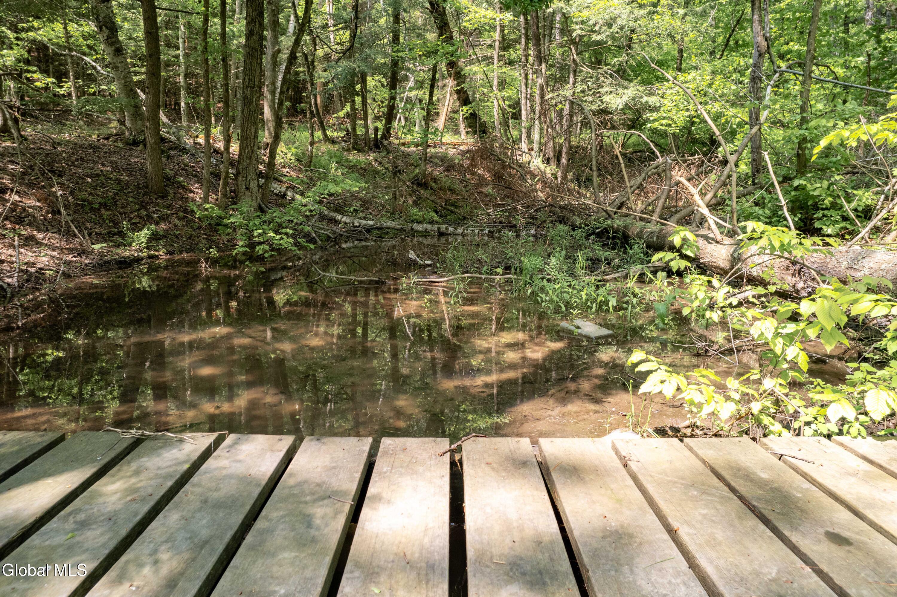1219 Mill Valley Road Warnerville, NY 12187 - Photo 21 of 34 1219 Mill Valley Rd-41