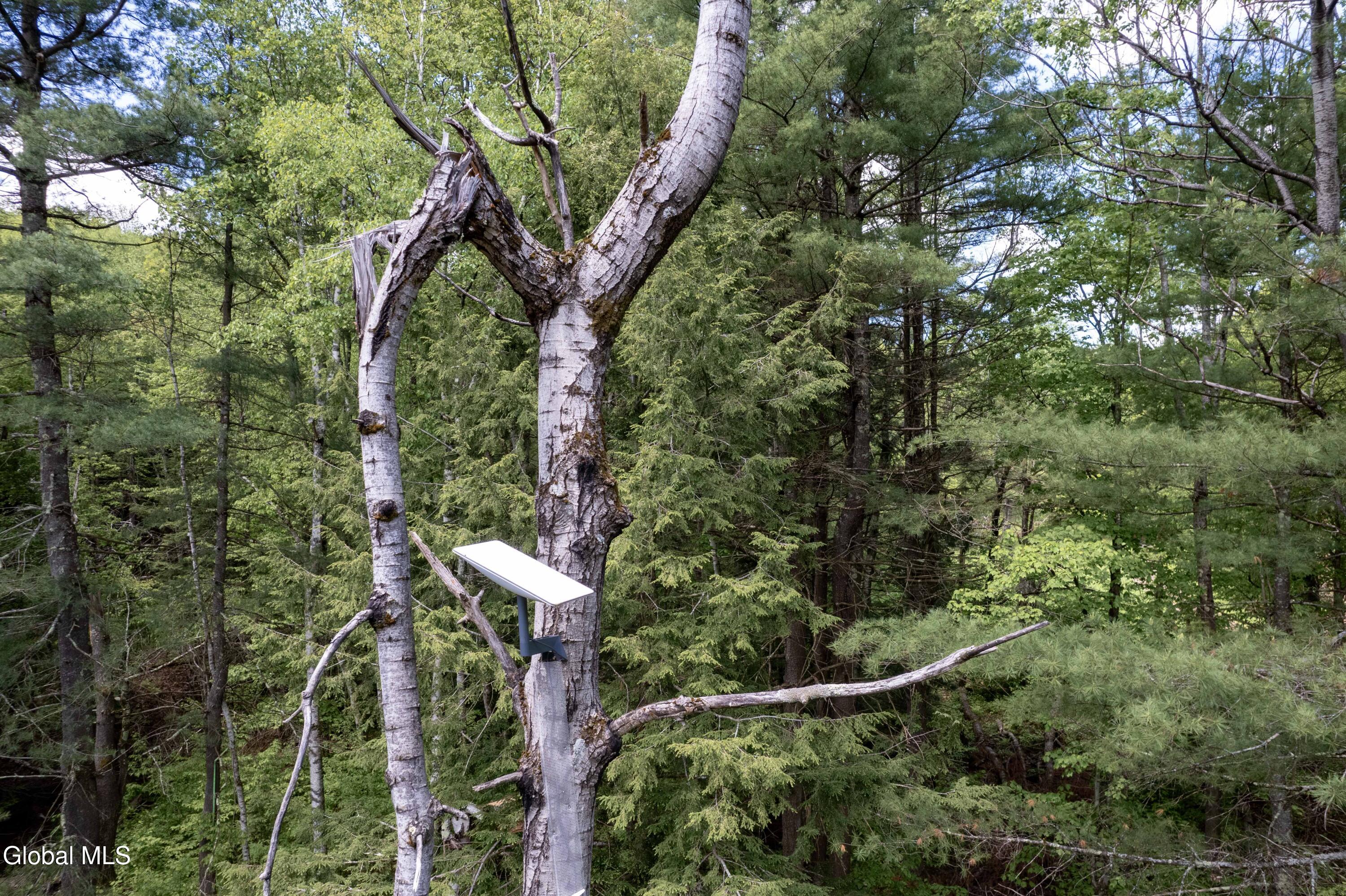 1219 Mill Valley Road Warnerville, NY 12187 - Photo 24 of 34 1219 Mill Valley Rd-77