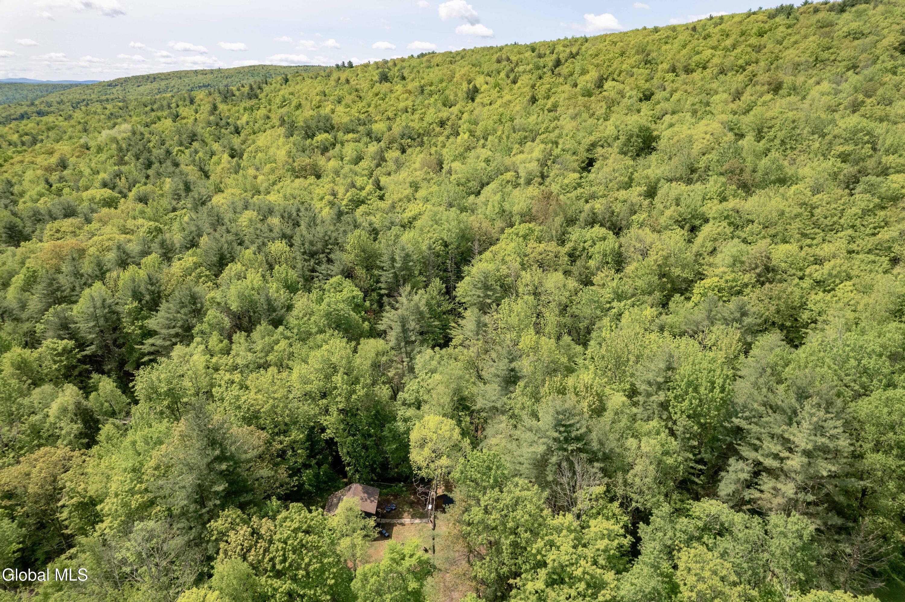 1219 Mill Valley Road Warnerville, NY 12187 - Photo 26 of 34 1219 Mill Valley Rd-9