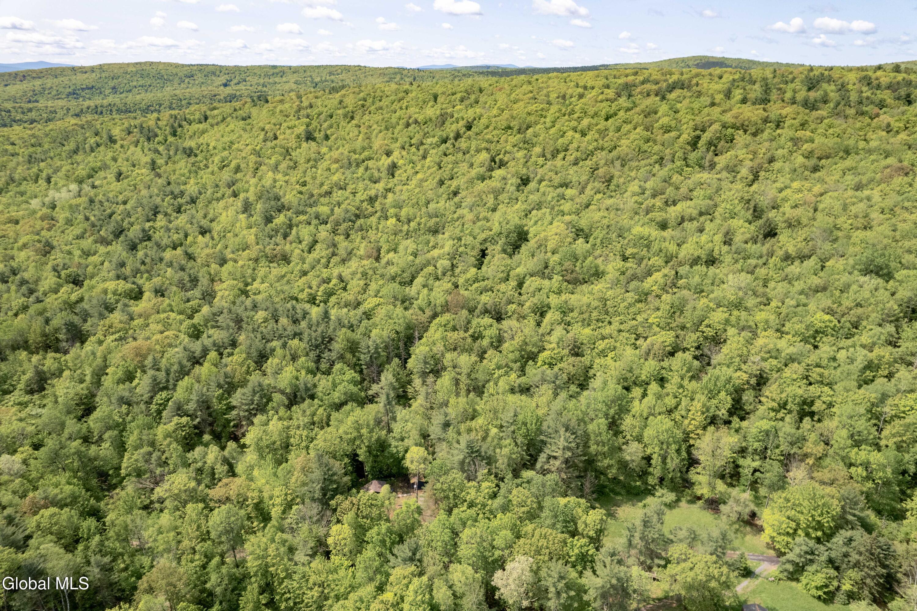 1219 Mill Valley Road Warnerville, NY 12187 - Photo 27 of 34 1219 Mill Valley Rd-16