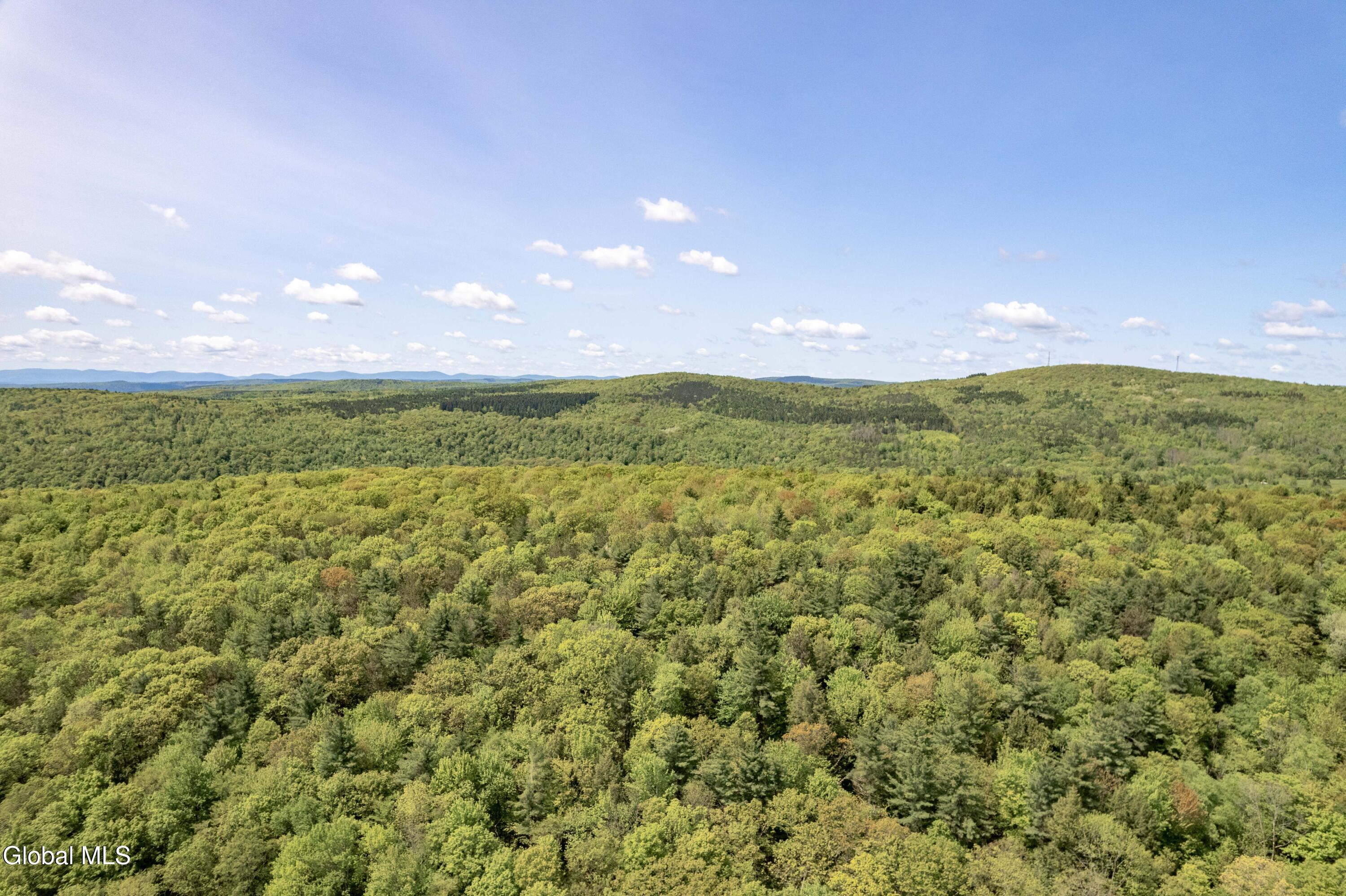 1219 Mill Valley Road Warnerville, NY 12187 - Photo 30 of 34 1219 Mill Valley Rd-18