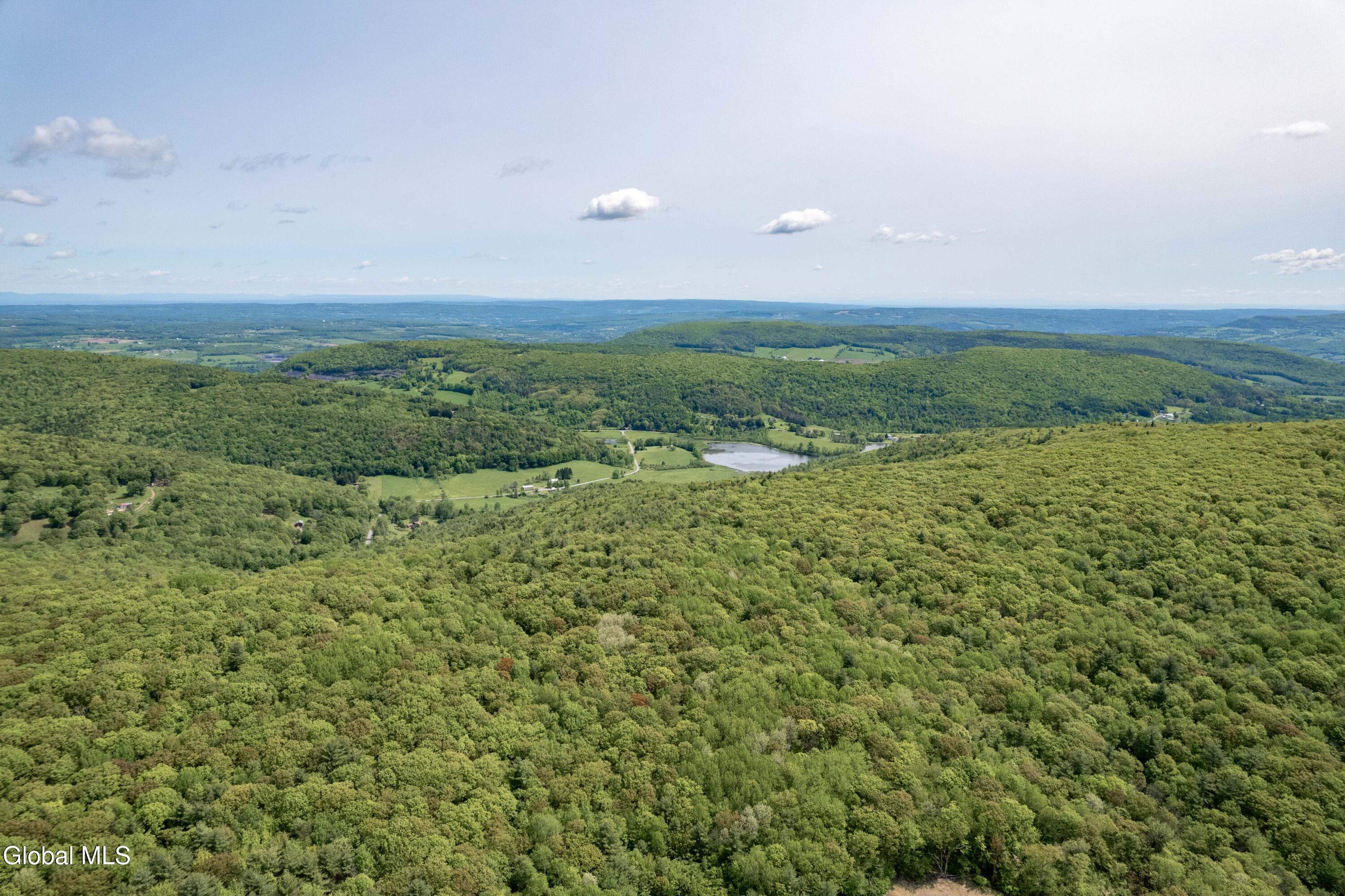 1219 Mill Valley Road Warnerville, NY 12187 - Photo 31 of 34 1219 Mill Valley Rd-3