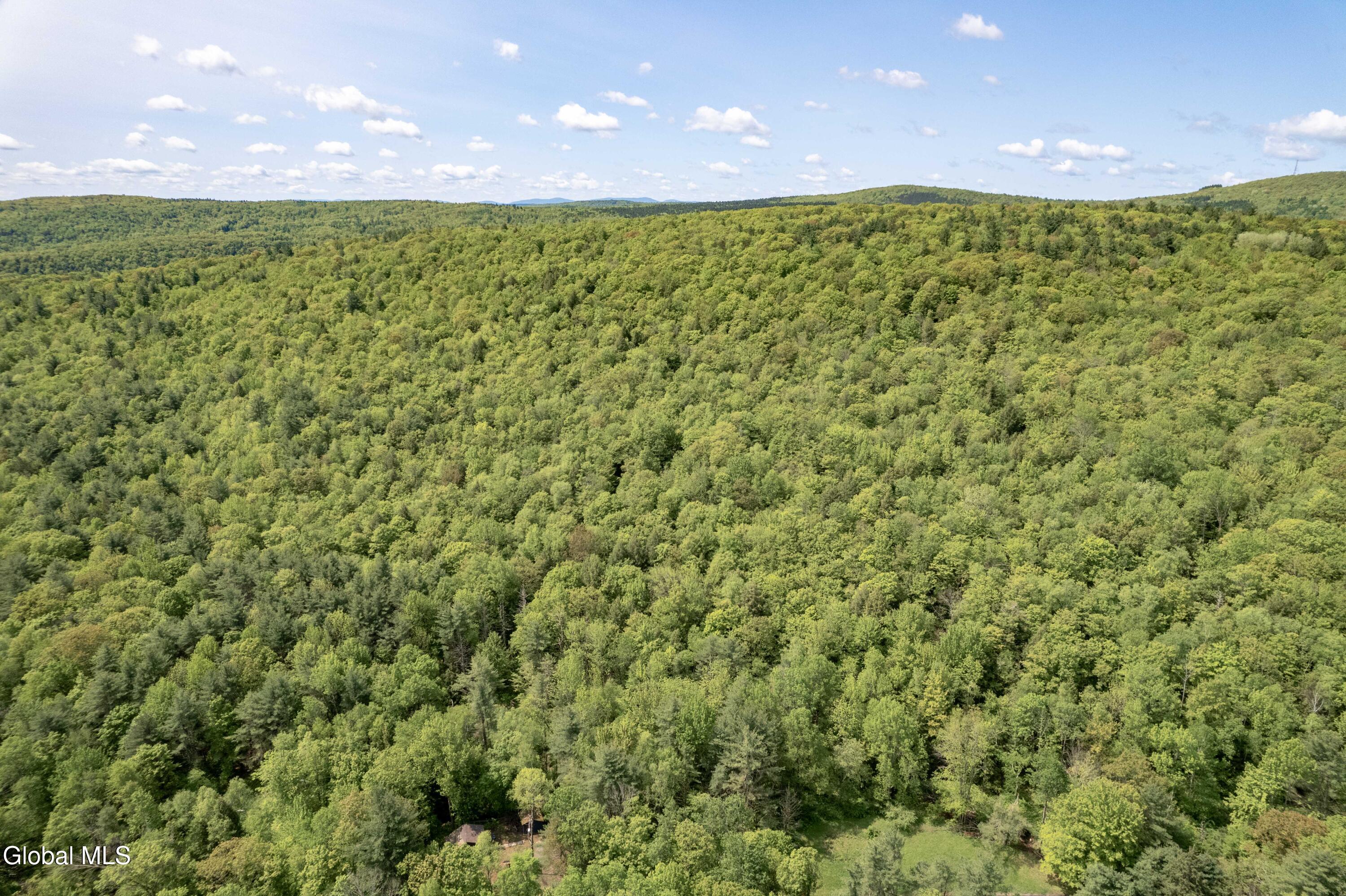 1219 Mill Valley Road Warnerville, NY 12187 - Photo 32 of 34 1219 Mill Valley Rd-14