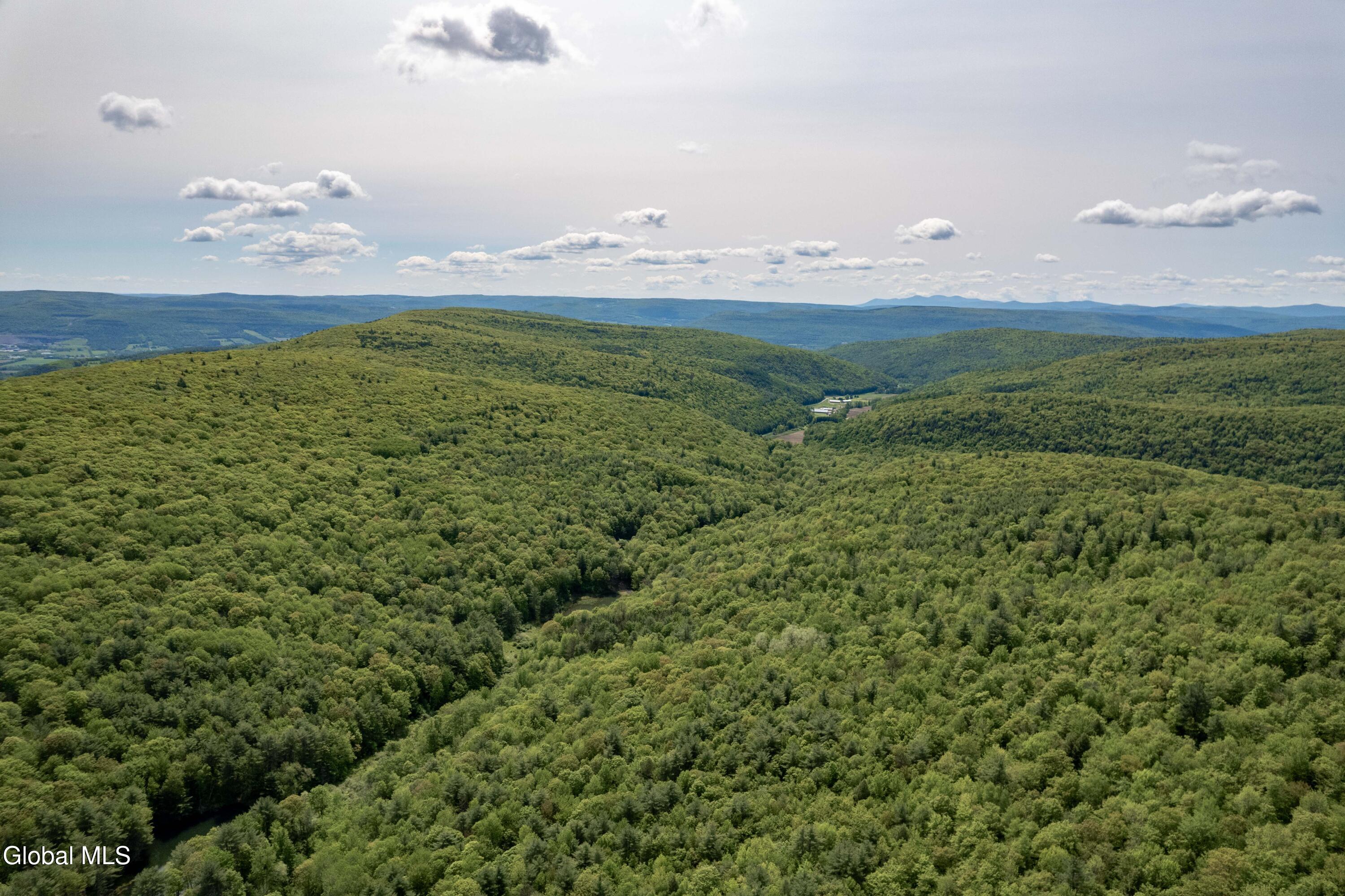 1219 Mill Valley Road Warnerville, NY 12187 - Photo 33 of 34 1219 Mill Valley Rd-2