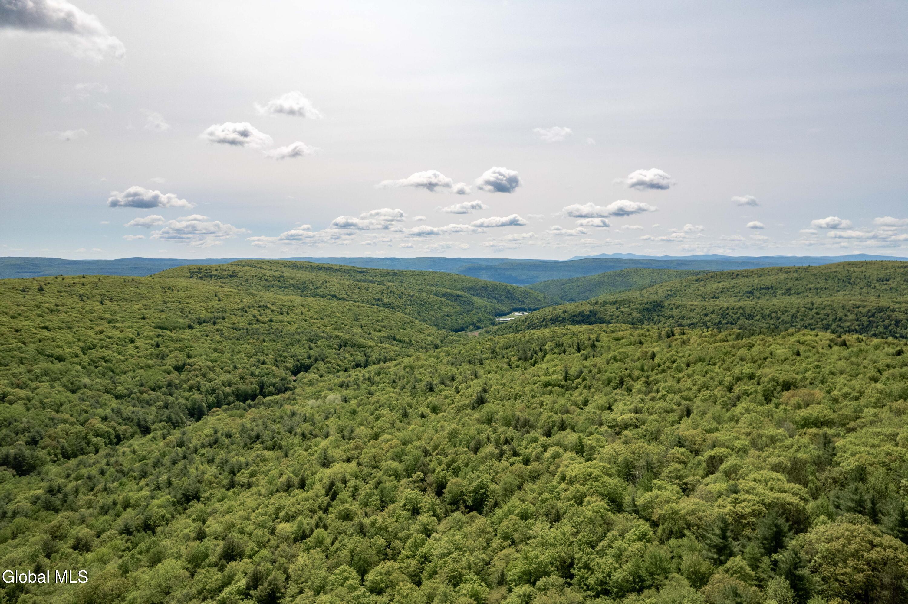 1219 Mill Valley Road Warnerville, NY 12187 - Photo 34 of 34 1219 Mill Valley Rd-19