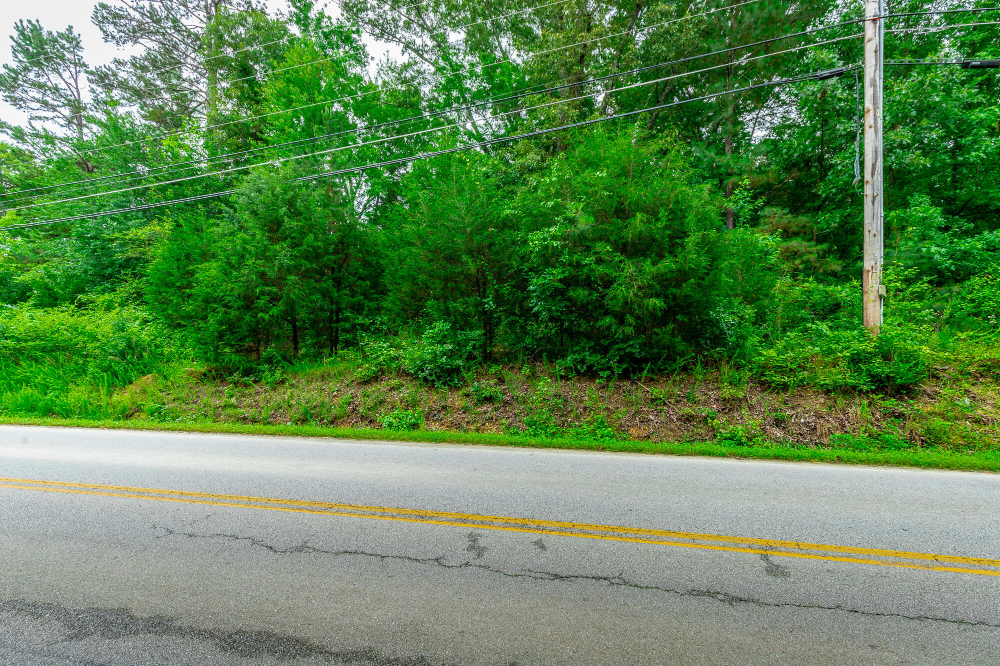 7441 Short Tail Springs Road Harrison, TN 37341 - Photo 3 of 16 7441 Short Tail Springs Road Lot HD-2