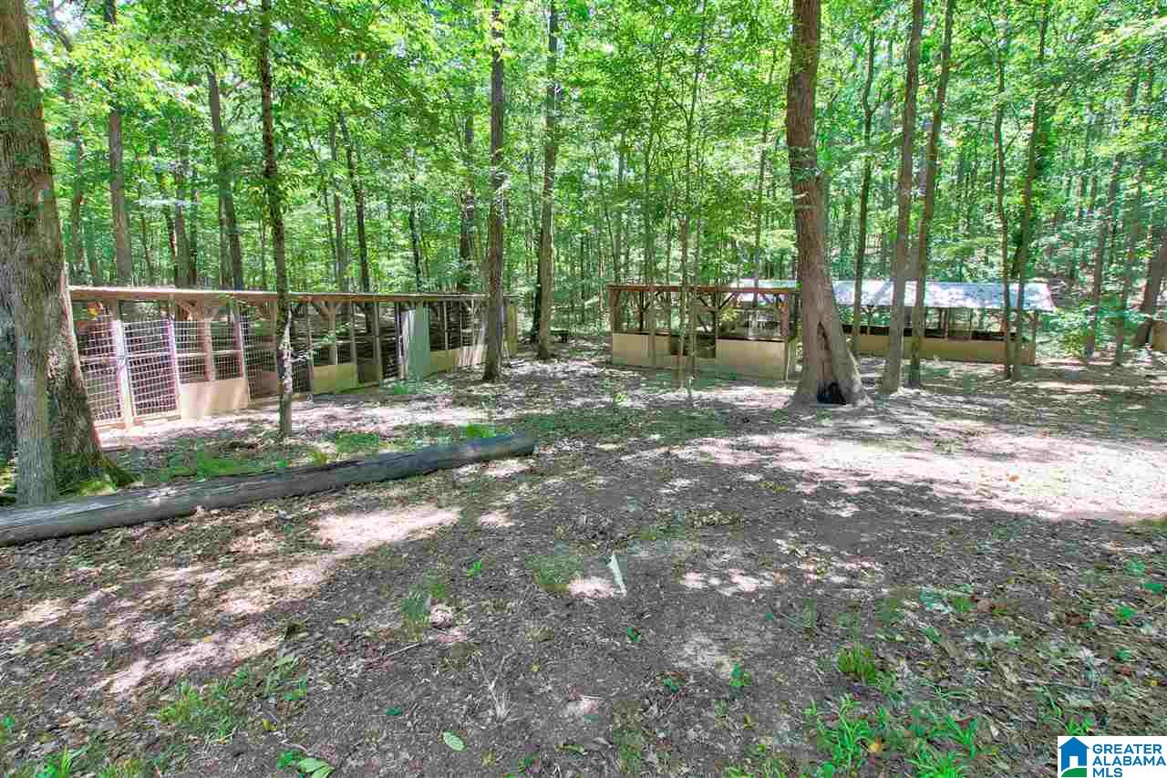 218 Pike Road Remlap, AL 35133 - Photo 26 of 28