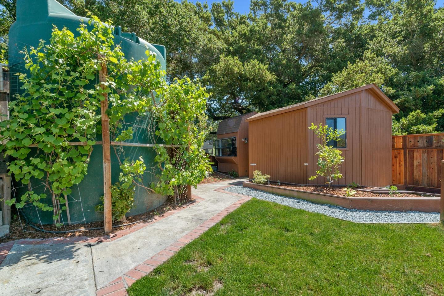 380 Sims Road Santa Cruz, CA 95060 - Photo 58 of 72 a view of a backyard with plants and large trees