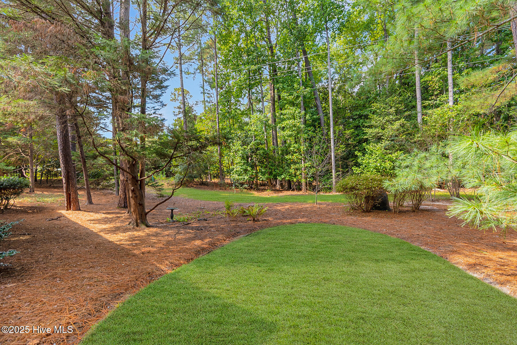 2 Parson Road Pinehurst, NC 28374 - Photo 35 of 37 backyard