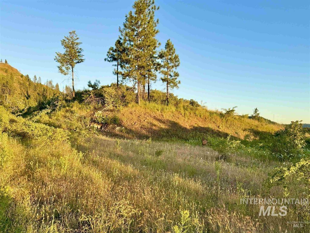 Tbd Lot #3 Beaverslide Road Kamiah, ID 83536 - Photo 11 of 21 Gallery Image 11