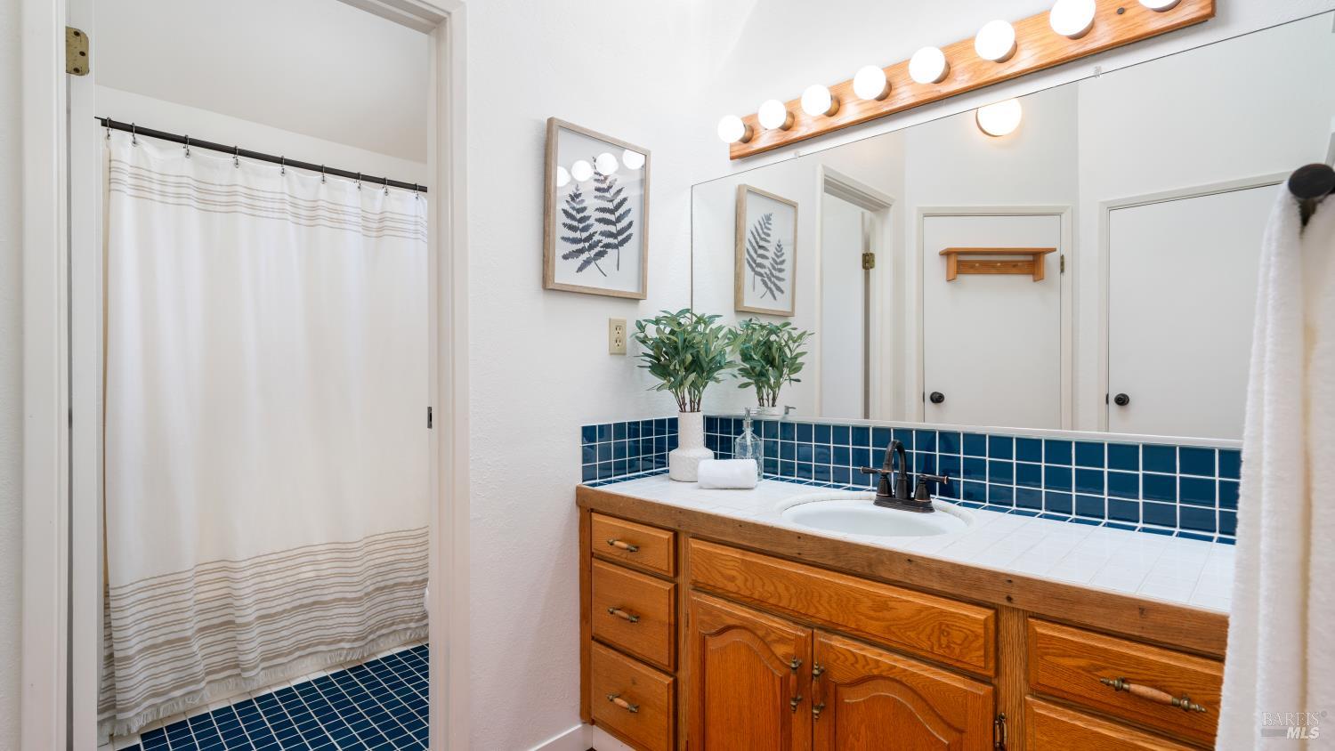 1160 Carr Avenue Santa Rosa, CA 95404 - Photo 20 of 48 Primary Bathroom.