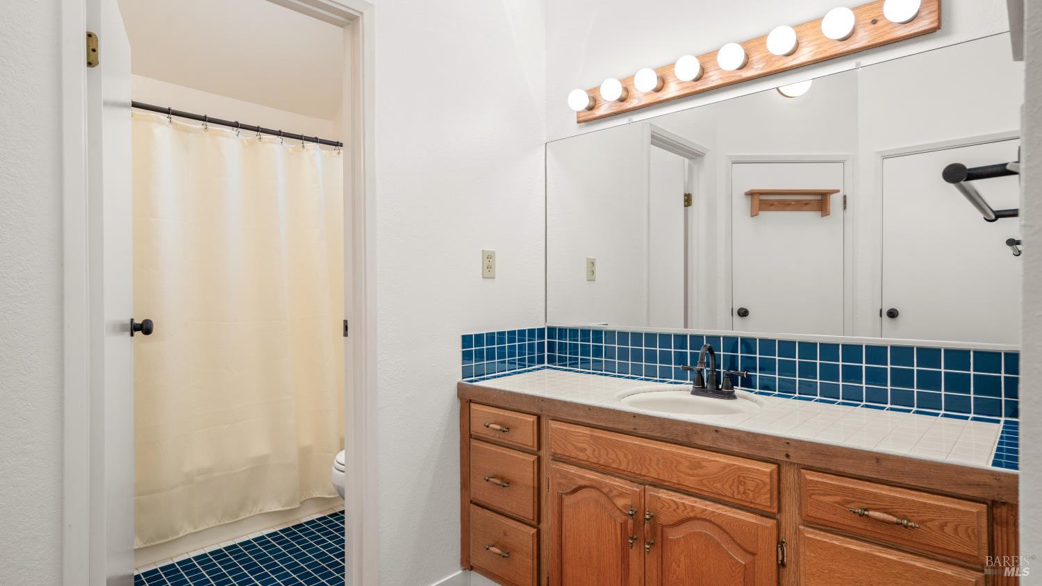 1160 Carr Avenue Santa Rosa, CA 95404 - Photo 25 of 56 a bathroom with a sink a mirror and shower