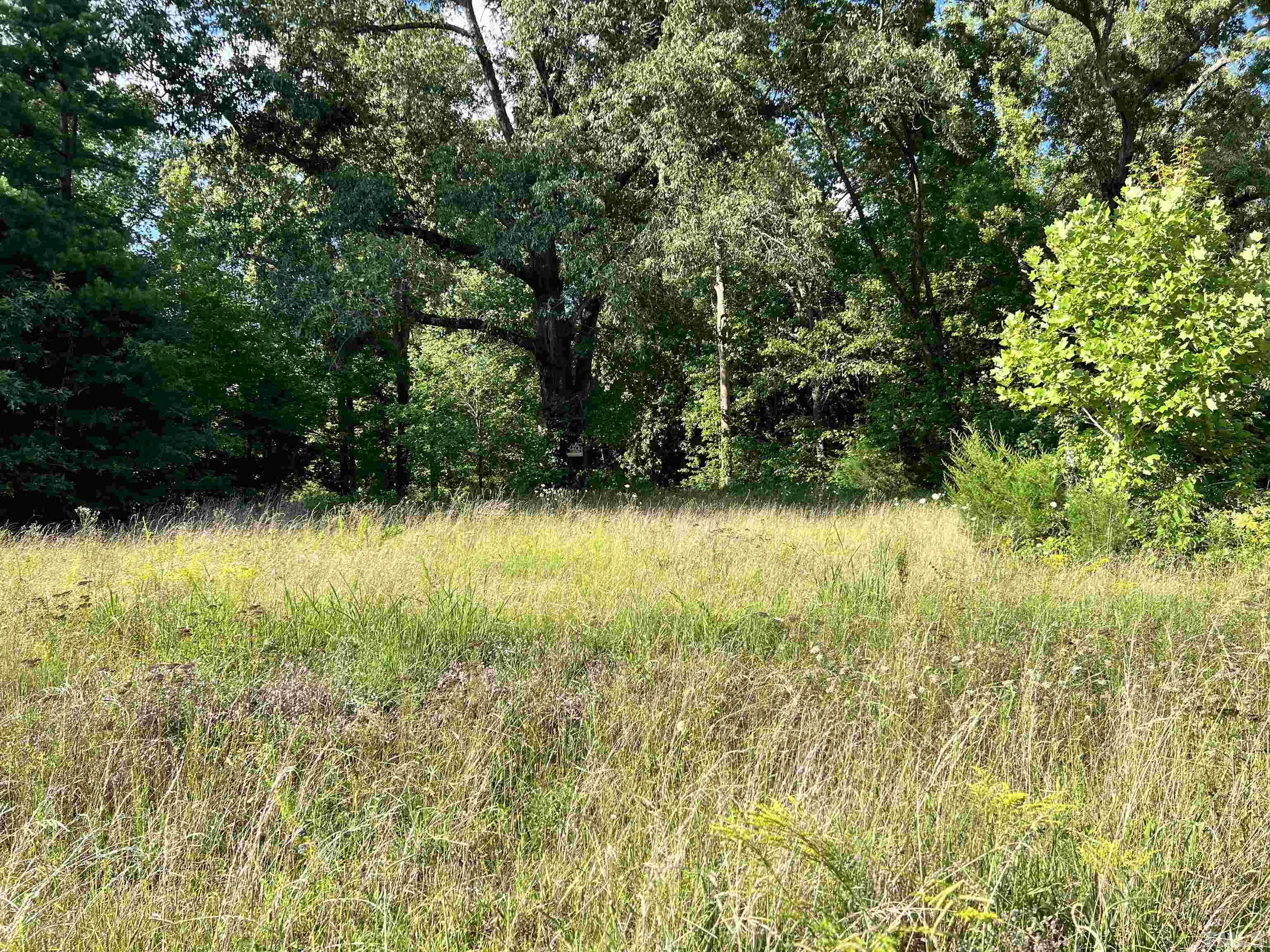 3059 Farm Road Bullock, NC 27507 - Photo 3 of 4 a view of swimming pool from a yard