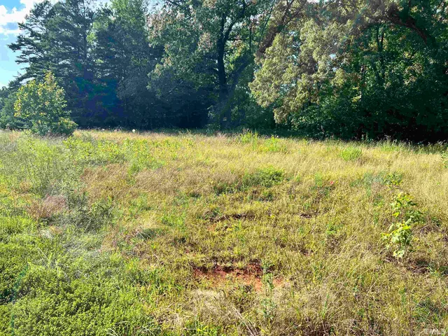 a view of backyard with swimming pool and green space