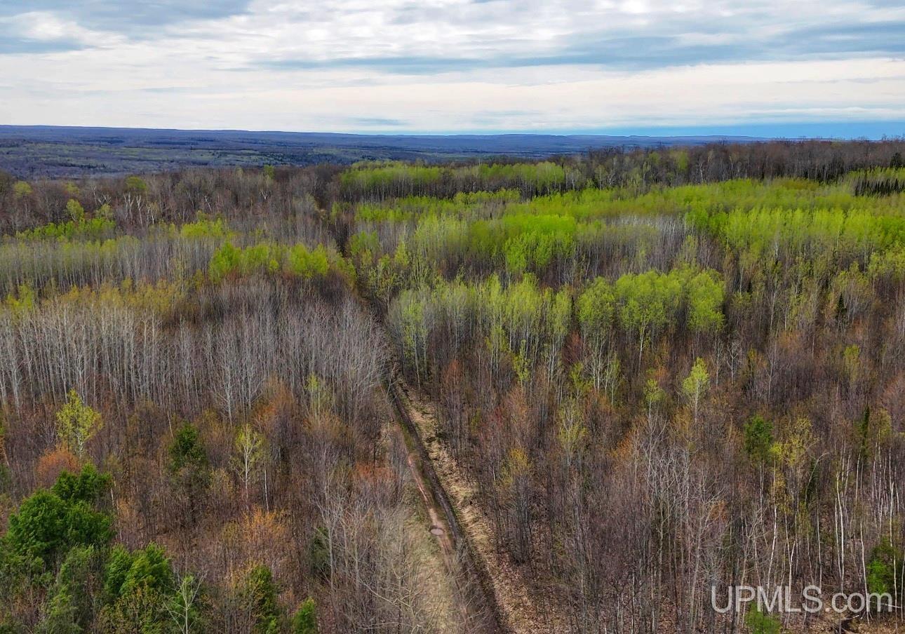 Tbdw Tbdw Off Townline Road Lanse, MI 49946 - Photo 1 of 17