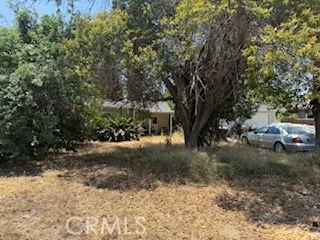 a view of a yard with plants and trees