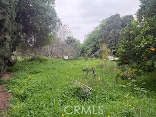 11716 Hemlock Street El Monte, CA 91732 - Photo 6 of 19 Rear Yard