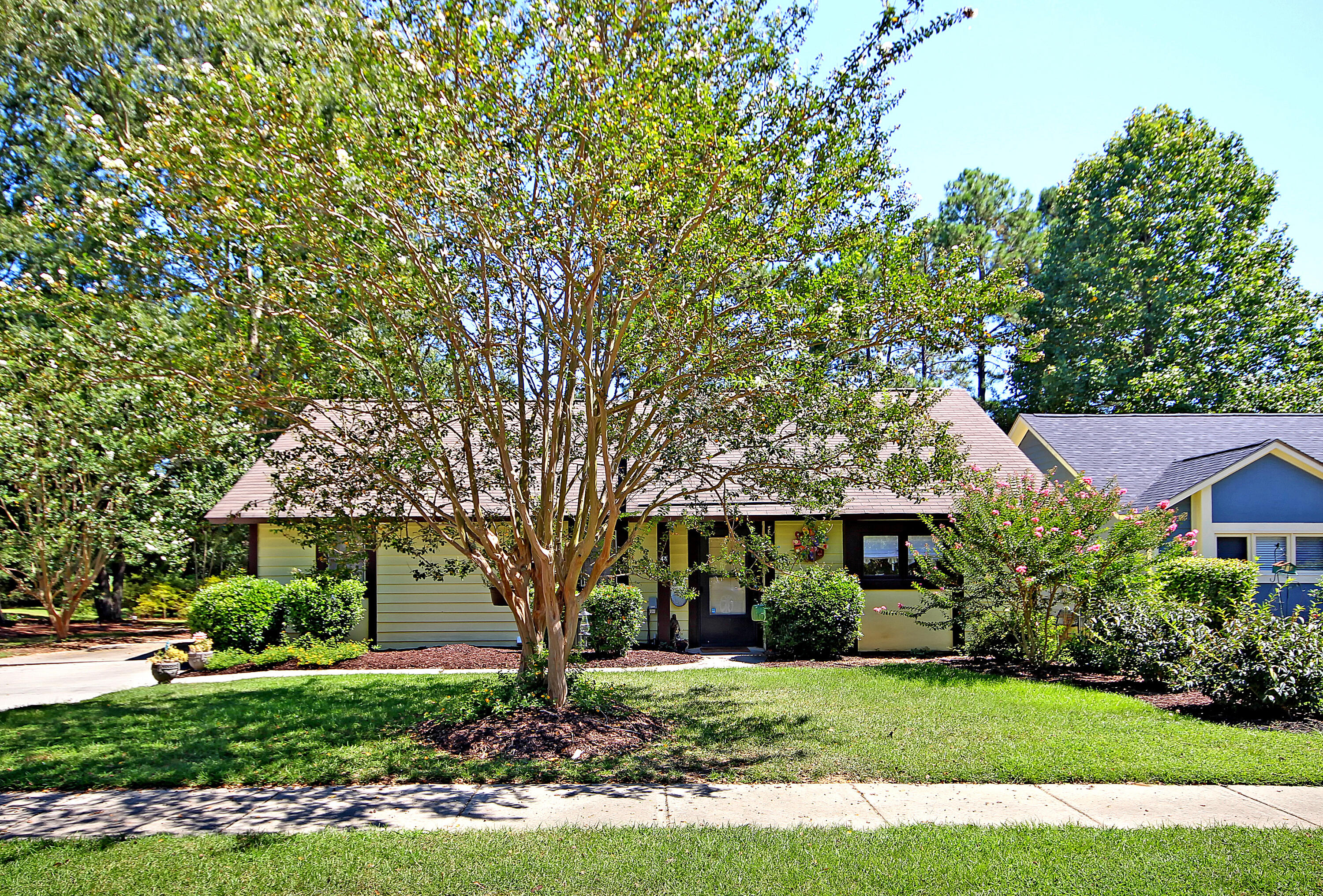 44 Andre Michaux Road Santee, SC 29142 - Photo 1 of 37 IMG_1852 copy