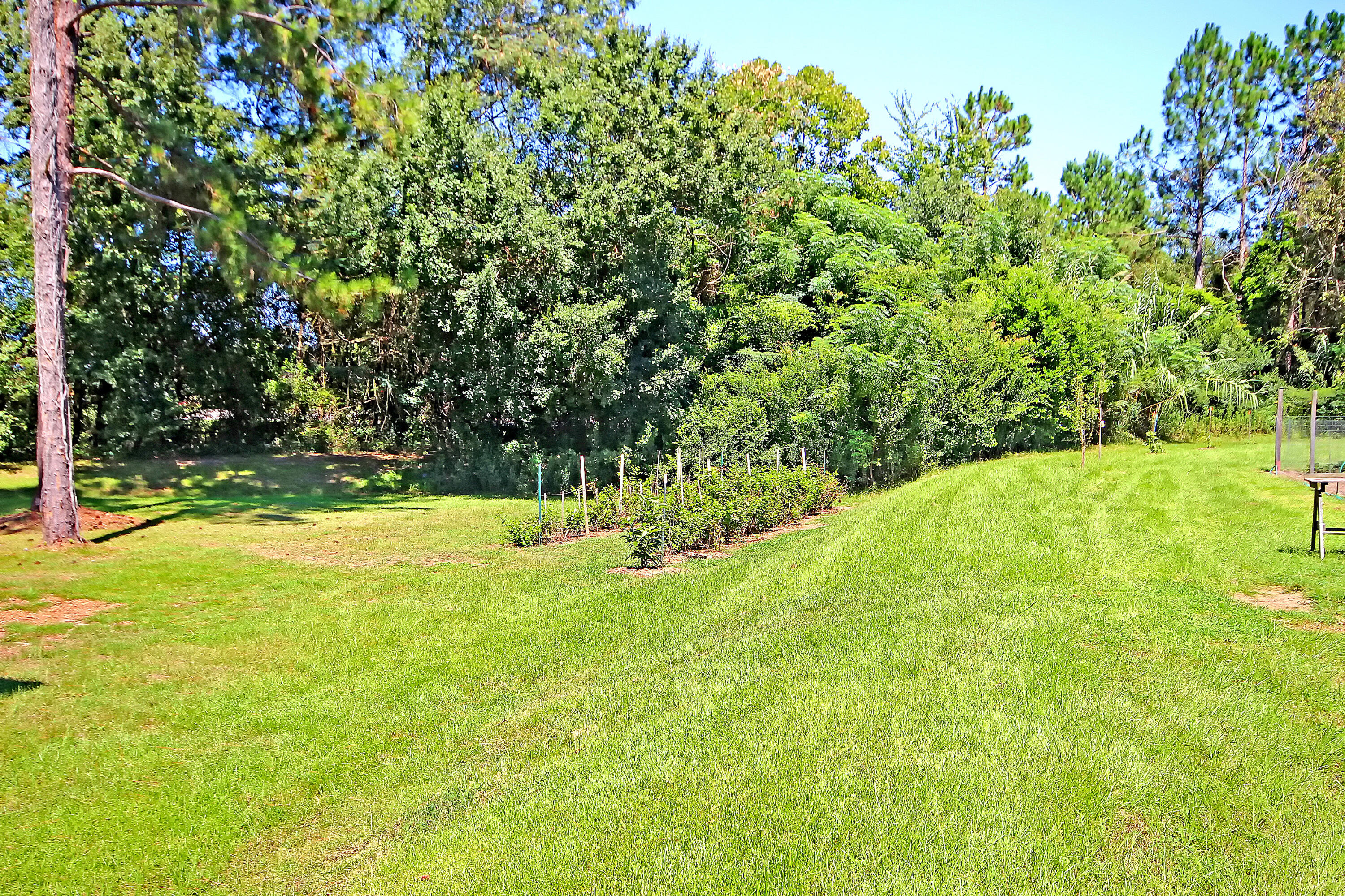 44 Andre Michaux Road Santee, SC 29142 - Photo 28 of 37 IMG_1893 copy