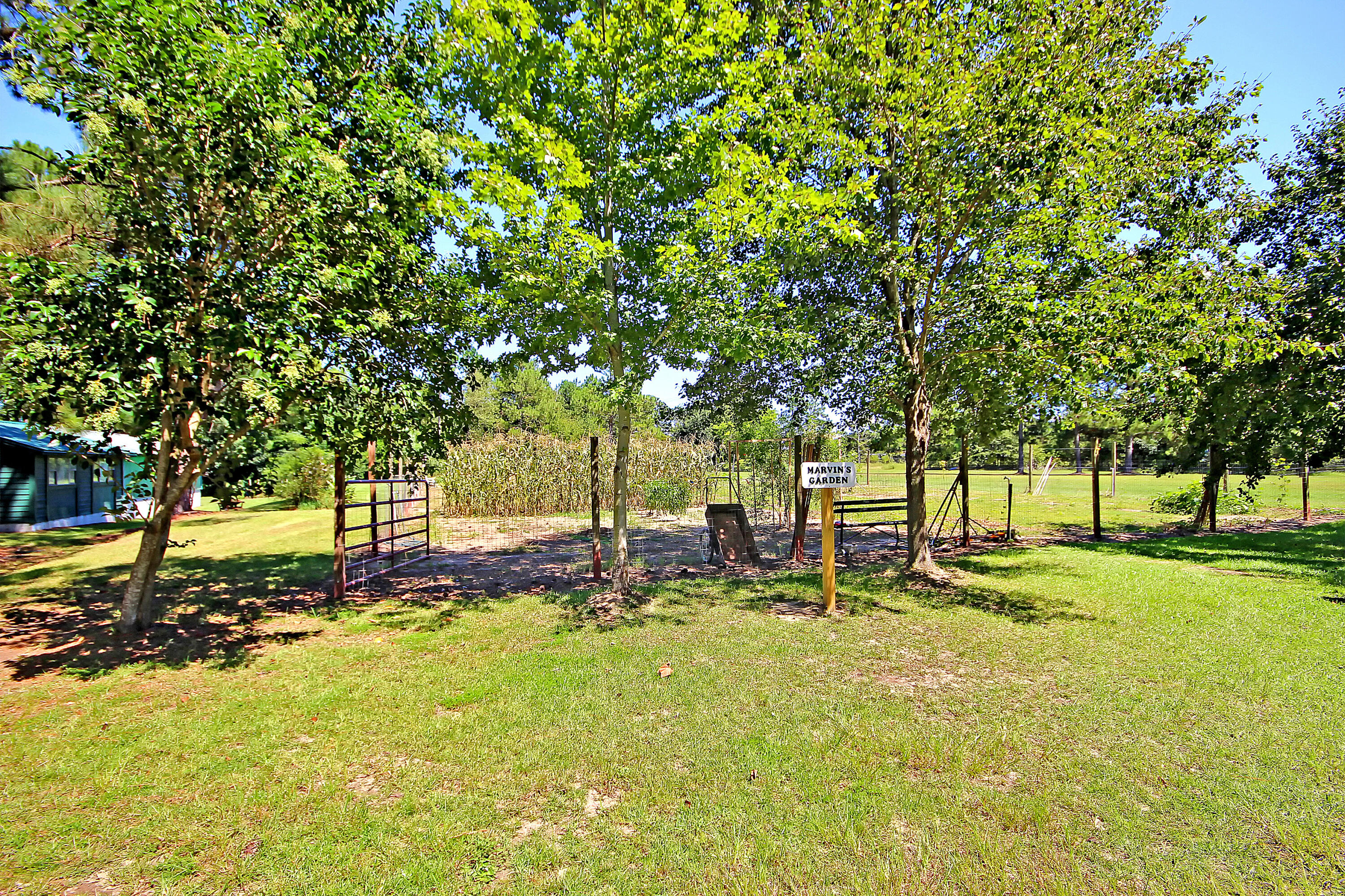 44 Andre Michaux Road Santee, SC 29142 - Photo 8 of 37 IMG_1888 copy