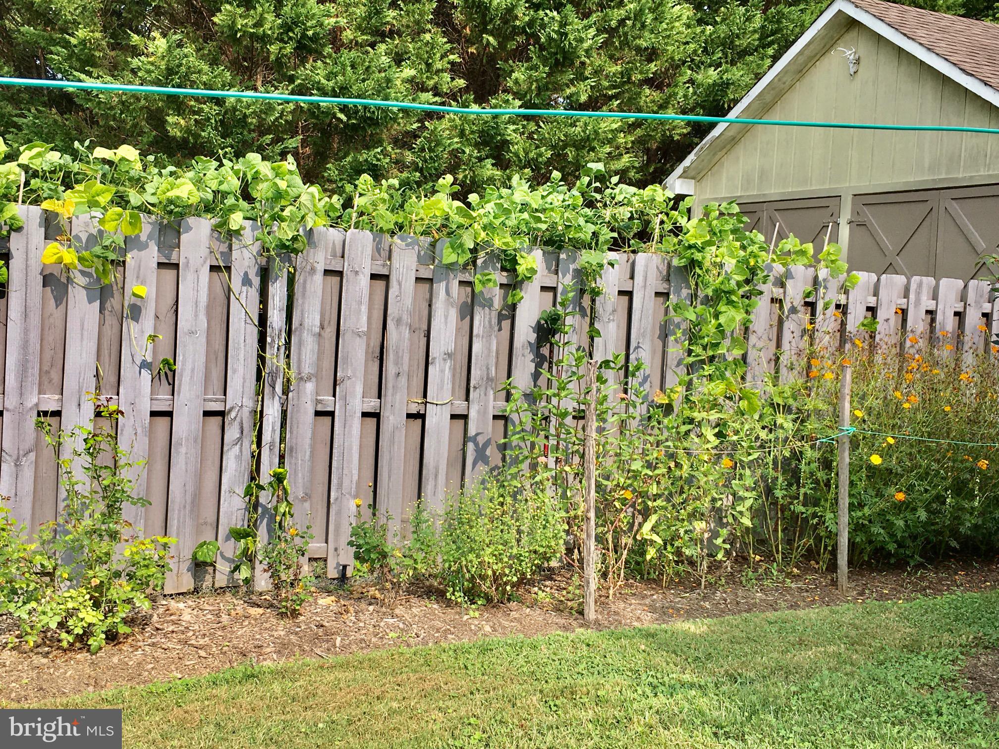 6672 John Barton Payne Road Marshall, VA 20115 - Photo 37 of 51