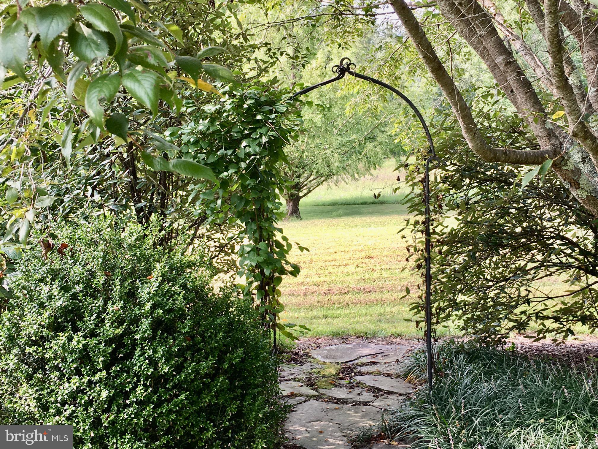 6672 John Barton Payne Road Marshall, VA 20115 - Photo 38 of 51