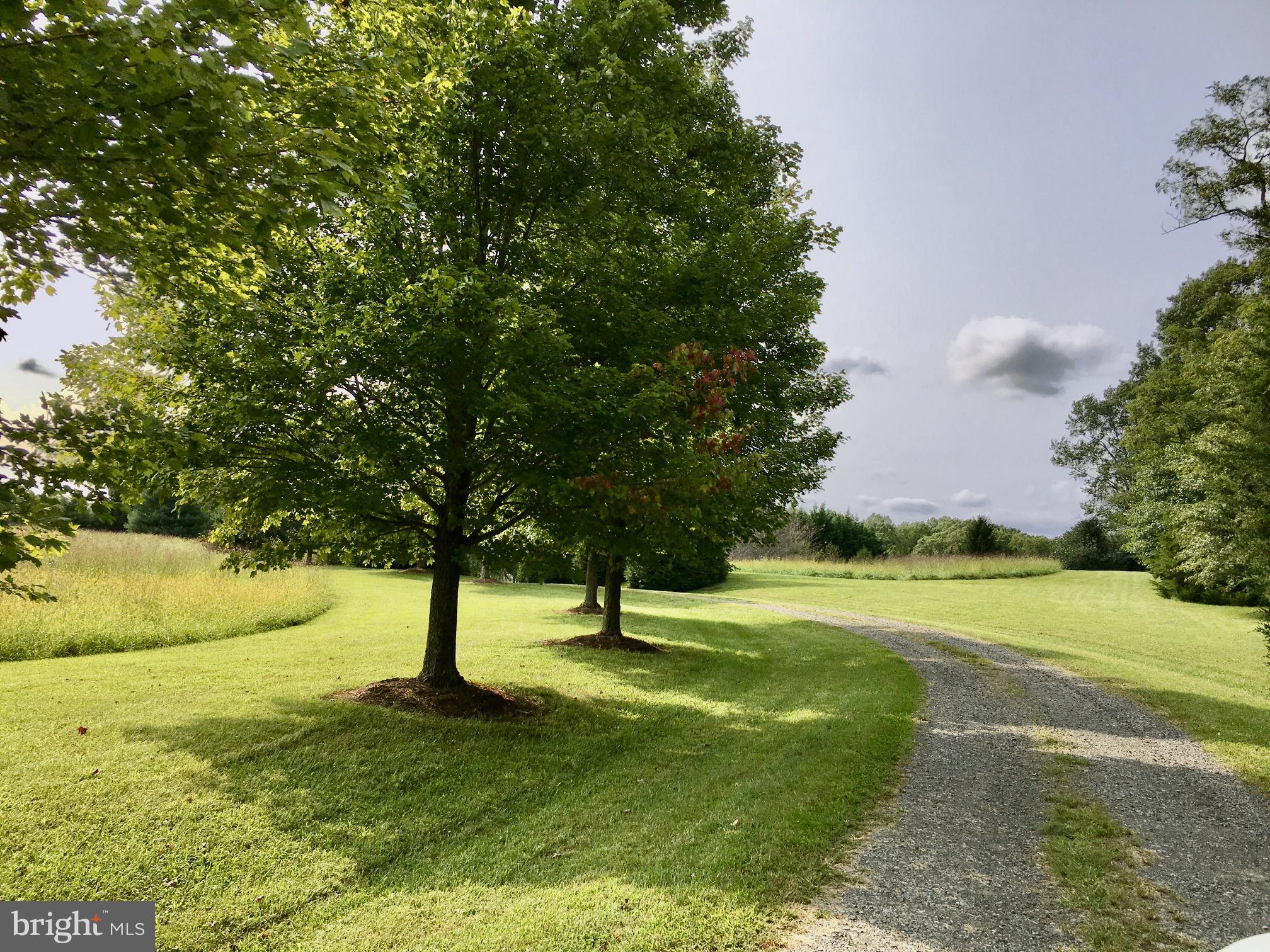 6672 John Barton Payne Road Marshall, VA 20115 - Photo 43 of 51