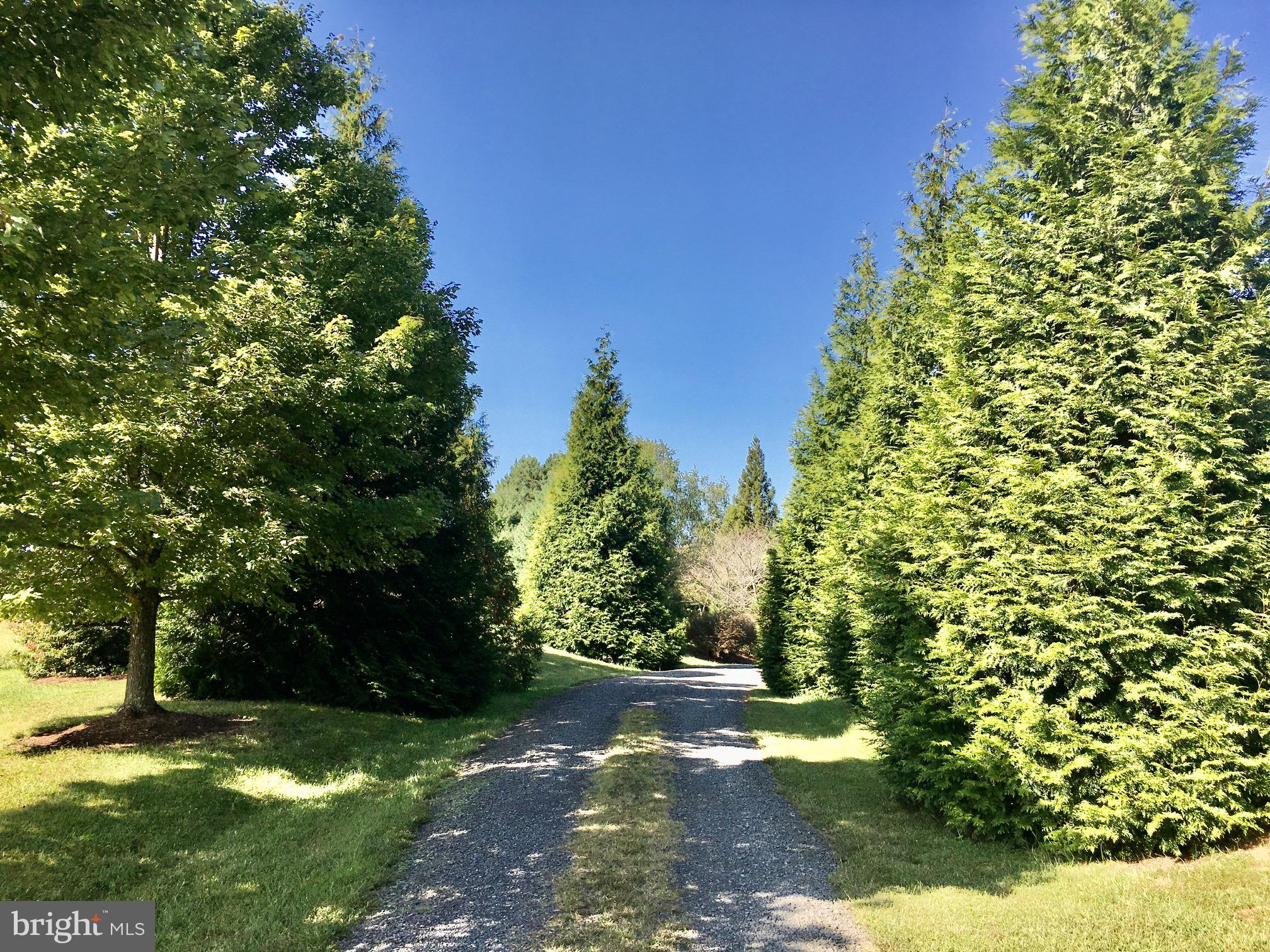 6672 John Barton Payne Road Marshall, VA 20115 - Photo 45 of 51