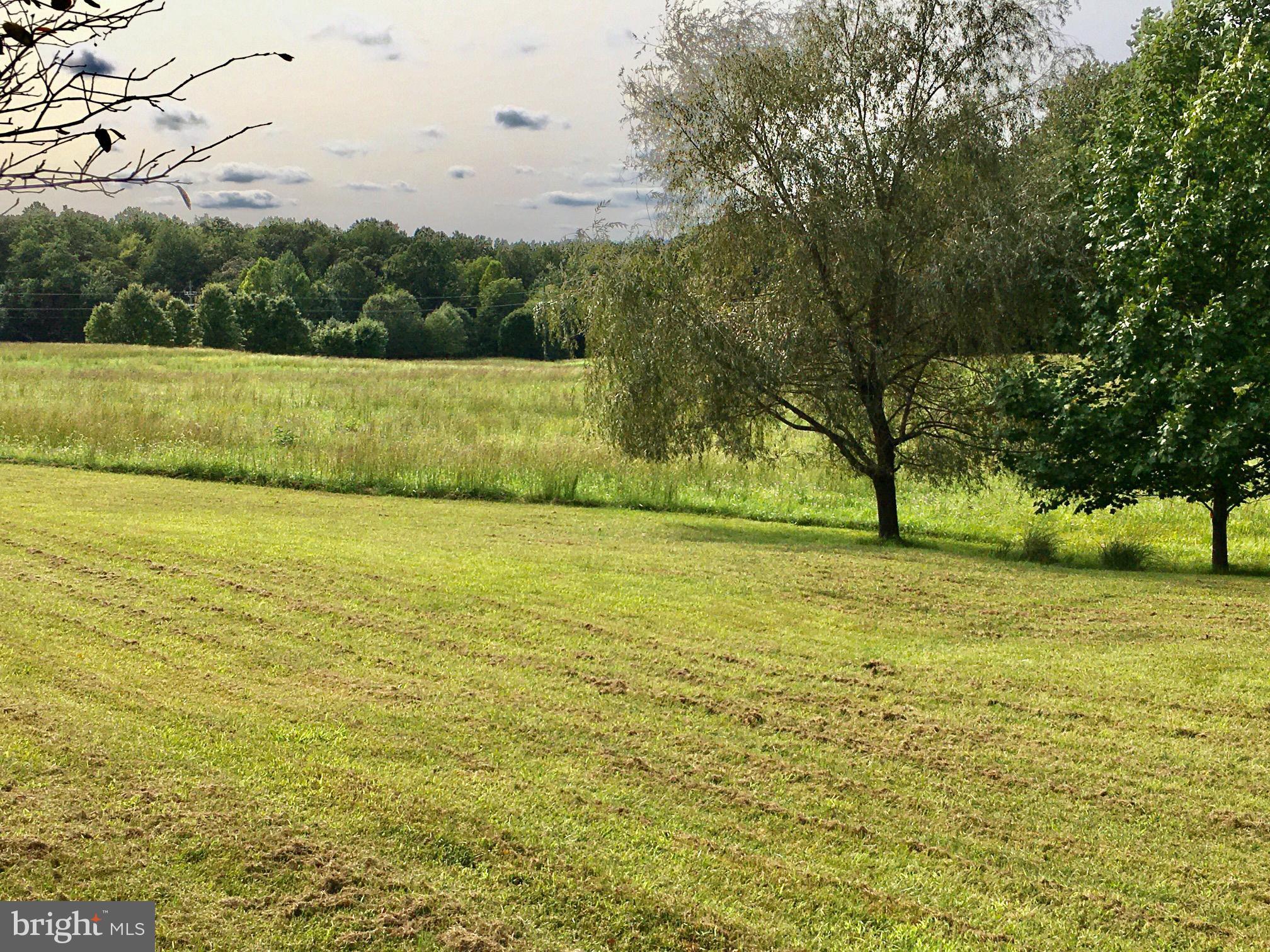 6672 John Barton Payne Road Marshall, VA 20115 - Photo 46 of 51