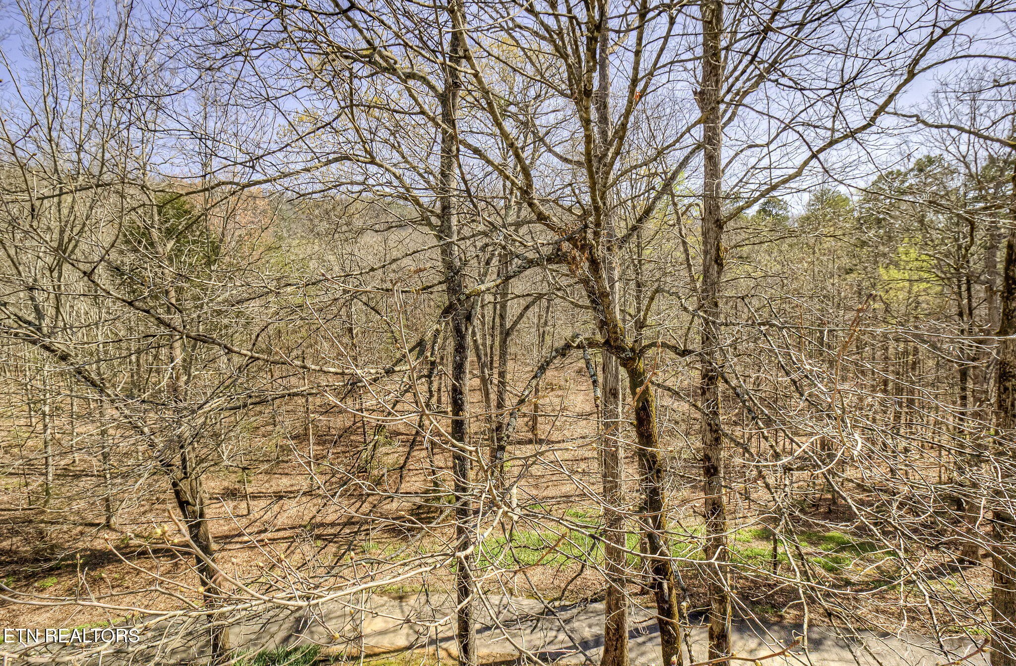 3458 Allegheny Loop Road Maryville, TN 37803 - Photo 46 of 60 Gallery Image 46