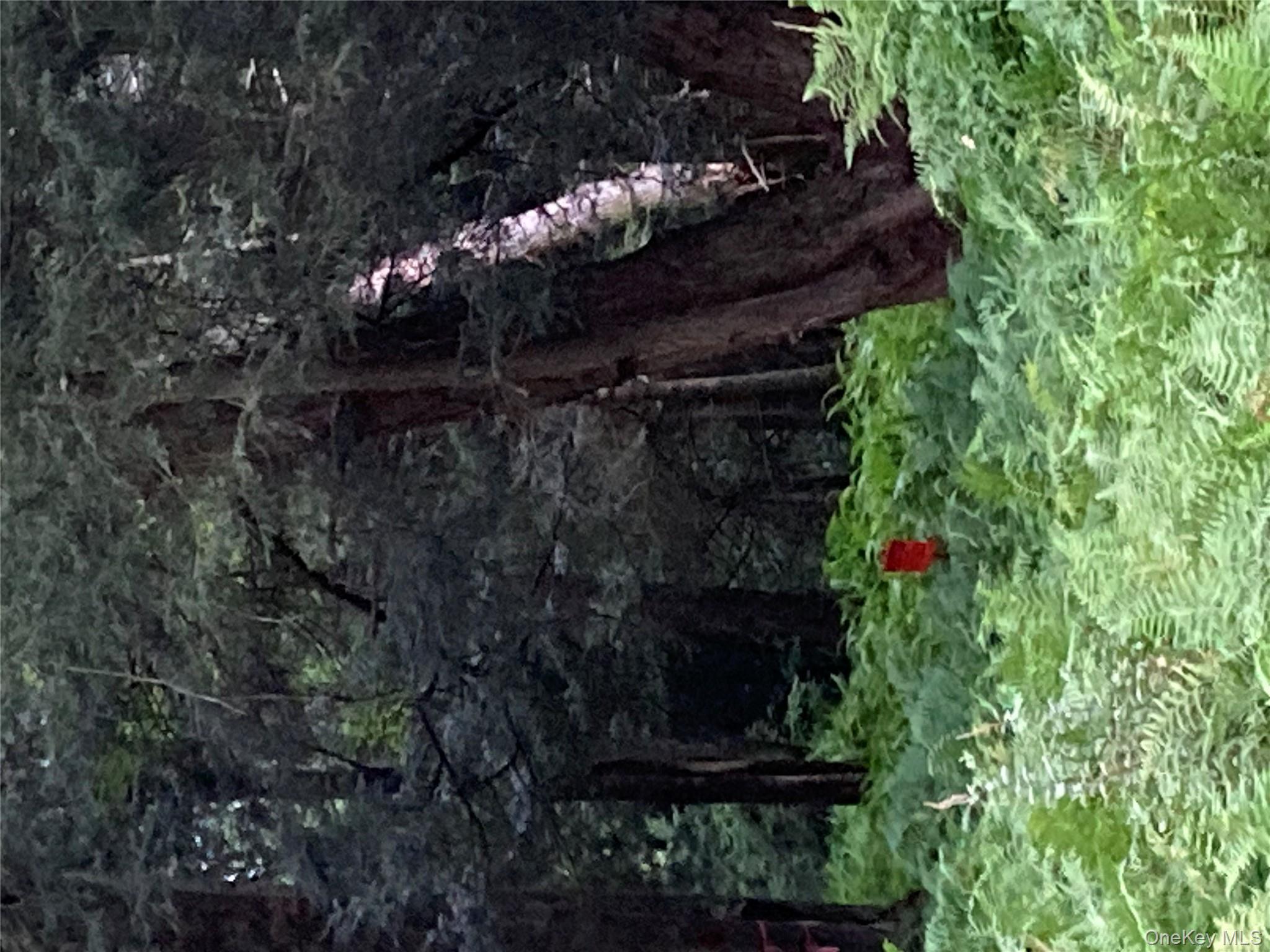 Jaketown Road Monticello, NY 12701 - Photo 6 of 6 View of woods