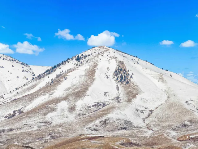 $225,000 | Tbd Tbd Palamino, Fairfield, ID 83322