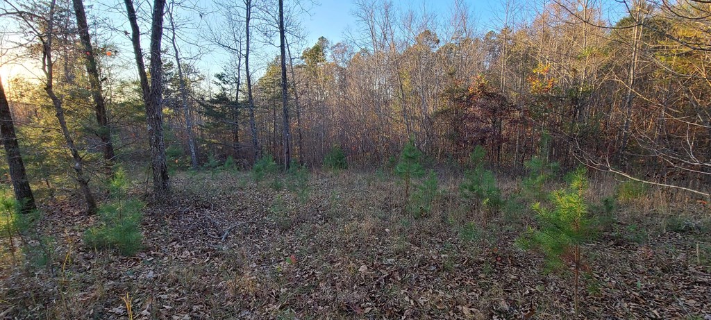 Lot 306 Quarles Road Rocky Face, GA 30740 - Photo 7 of 9