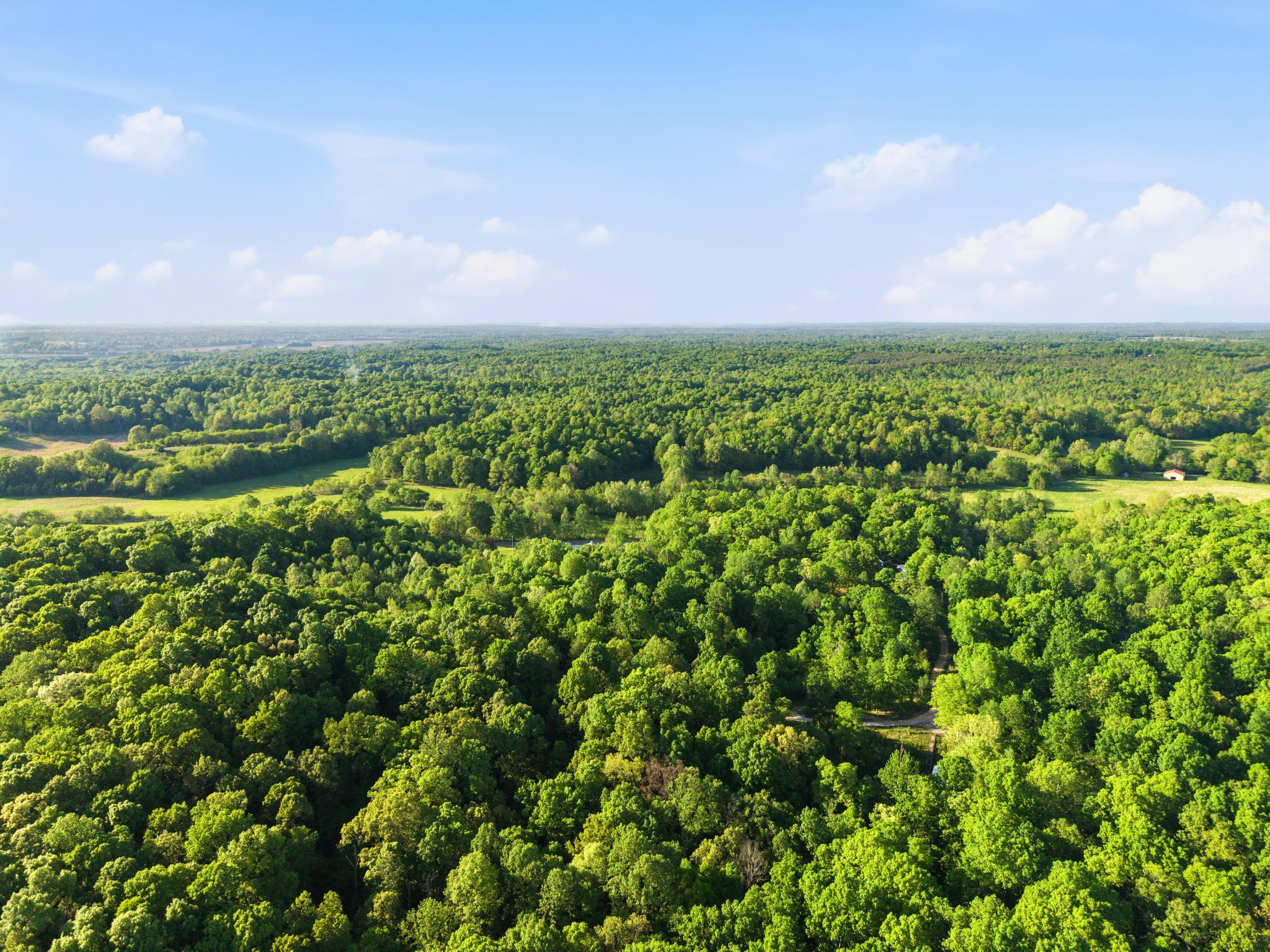 287 Dustin Road Kuttawa, KY 42055 - Photo 25 of 26 Aerial