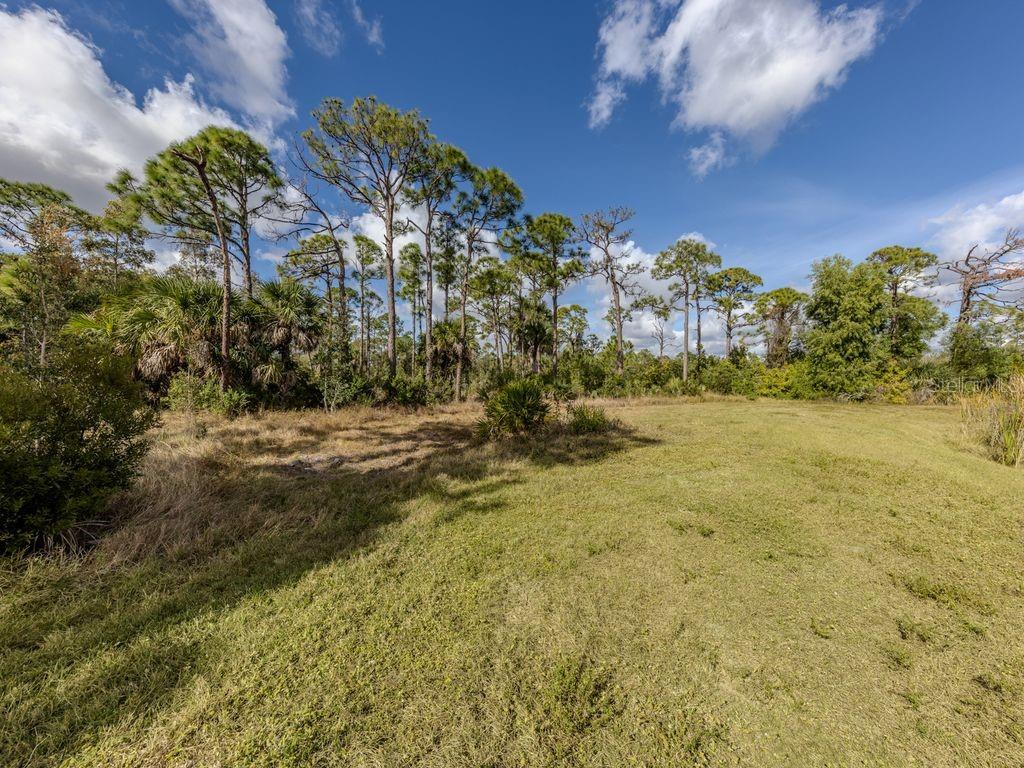 9008 Falcon Court Venice, FL 34293 - Photo 15 of 26 a view of beach and yard
