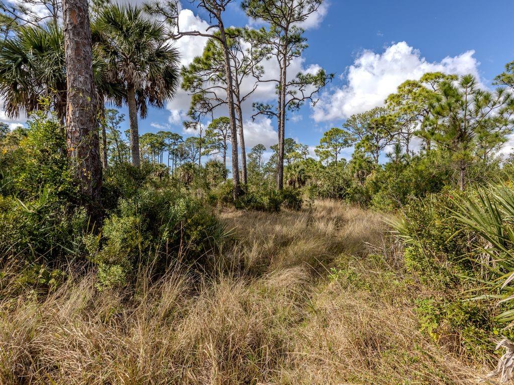 9008 Falcon Court Venice, FL 34293 - Photo 16 of 26 a view of a garden